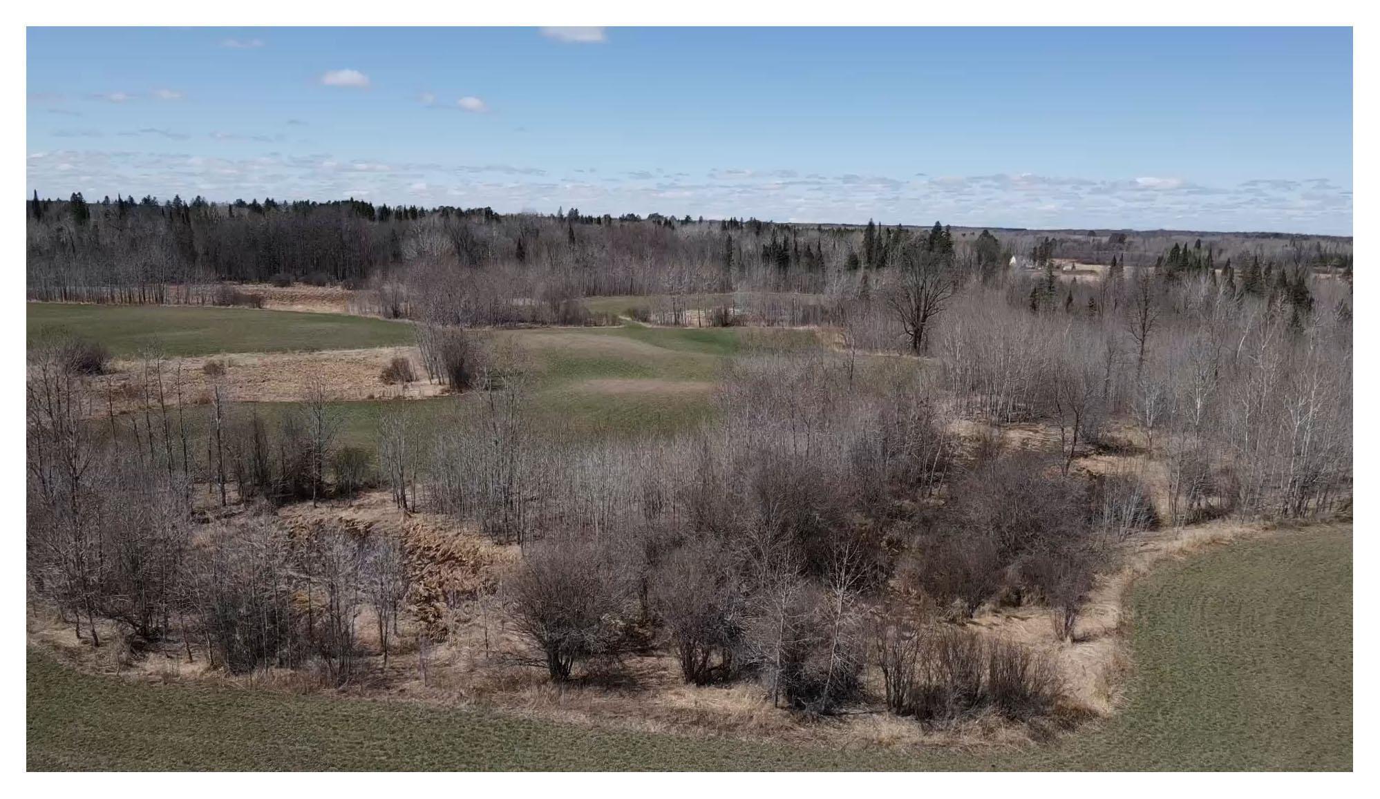 TBD Alfalfa Drive, Shevlin, Minnesota image 11