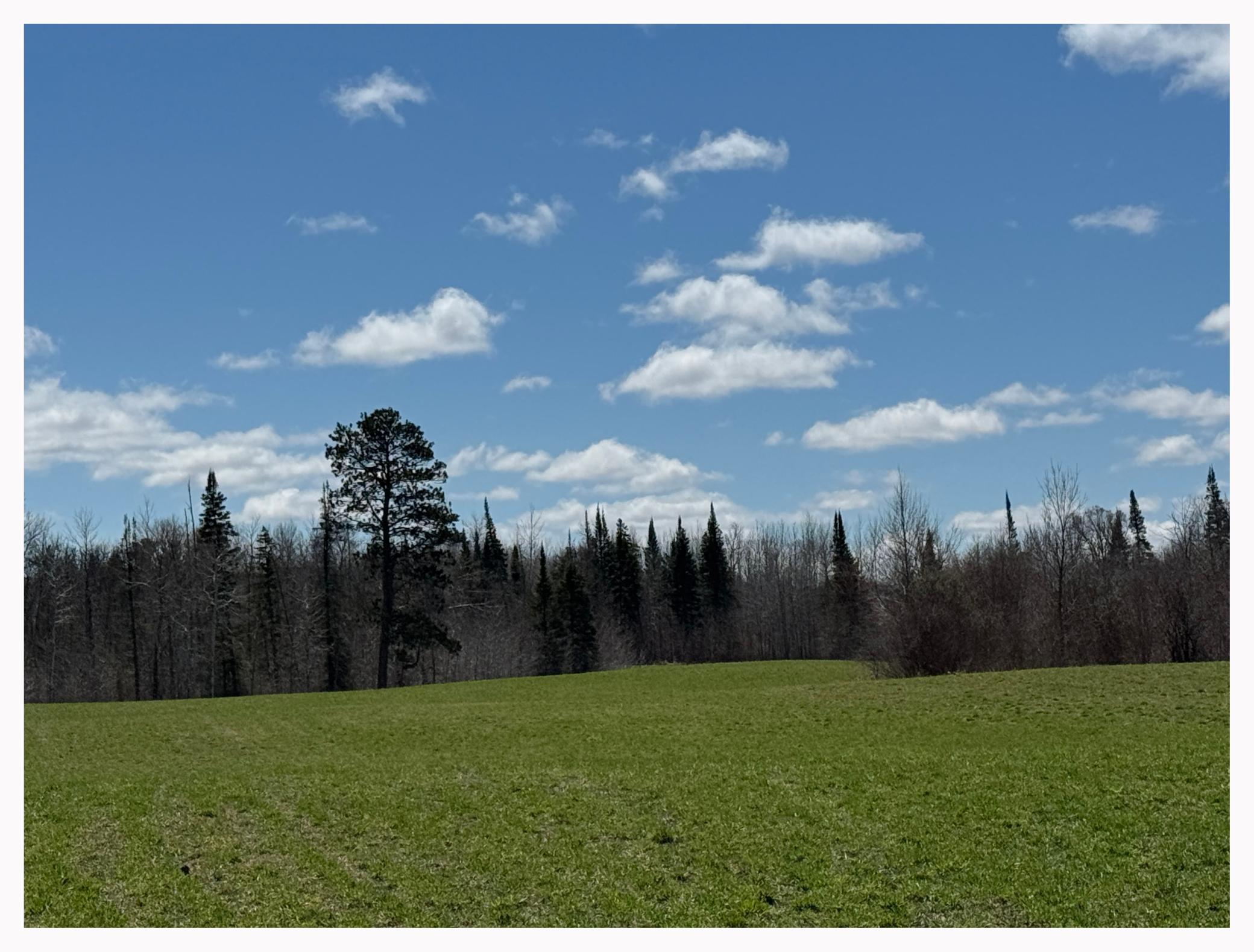 TBD Alfalfa Drive, Shevlin, Minnesota image 9