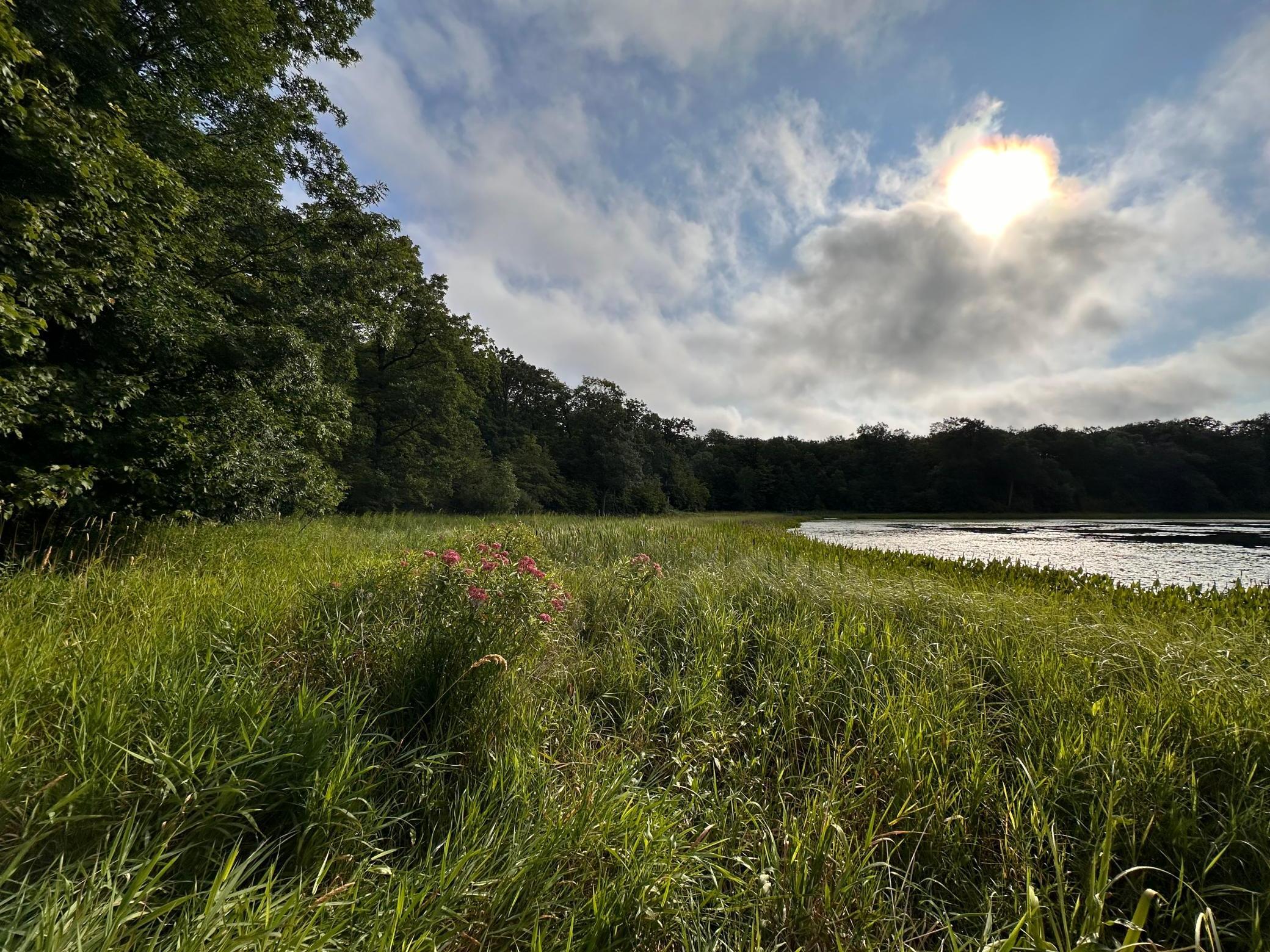 XXX Wilson Lake Drive, Deerwood, Minnesota image 3