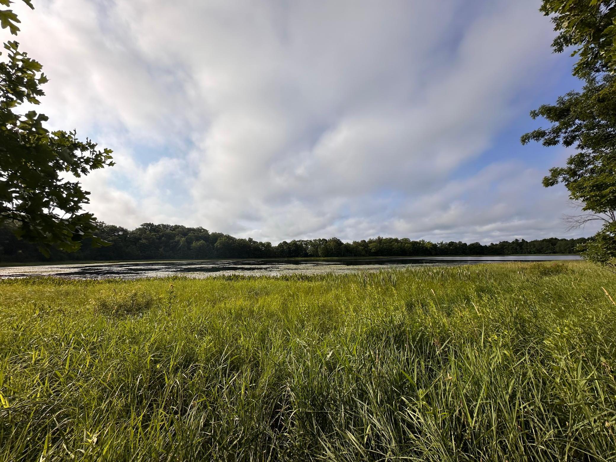 XXX Wilson Lake Drive, Deerwood, Minnesota image 6