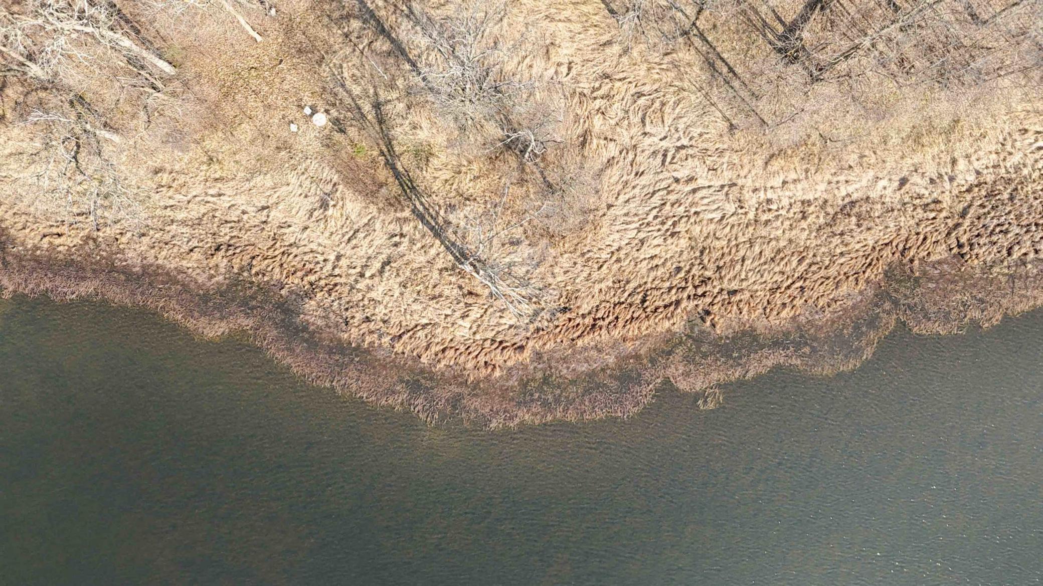 XXX Wilson Lake Drive, Deerwood, Minnesota image 9