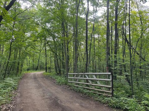 Vacant Land For Sale - XXX Wilson Lake Drive<br/> Crow Wing County, Deerwood, MN 56444