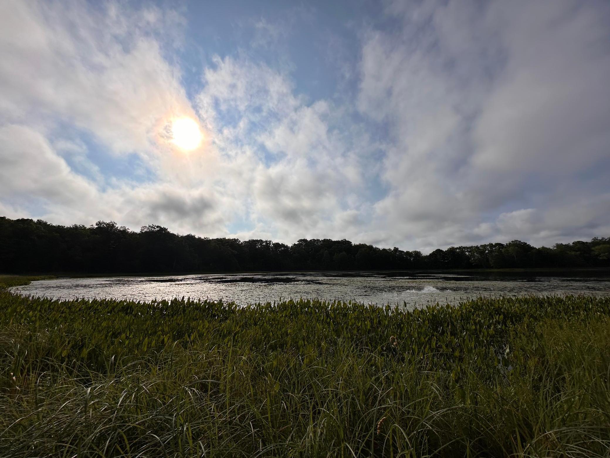 XXX Wilson Lake Drive, Deerwood, Minnesota image 7