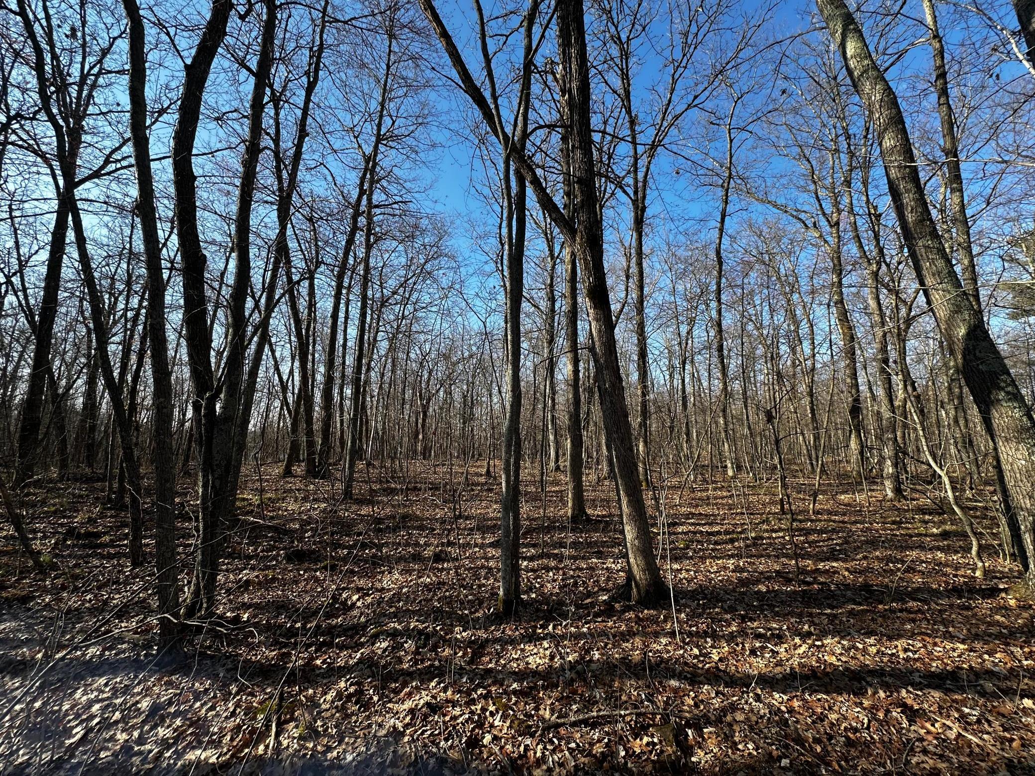 XXX Wilson Lake Drive, Deerwood, Minnesota image 3