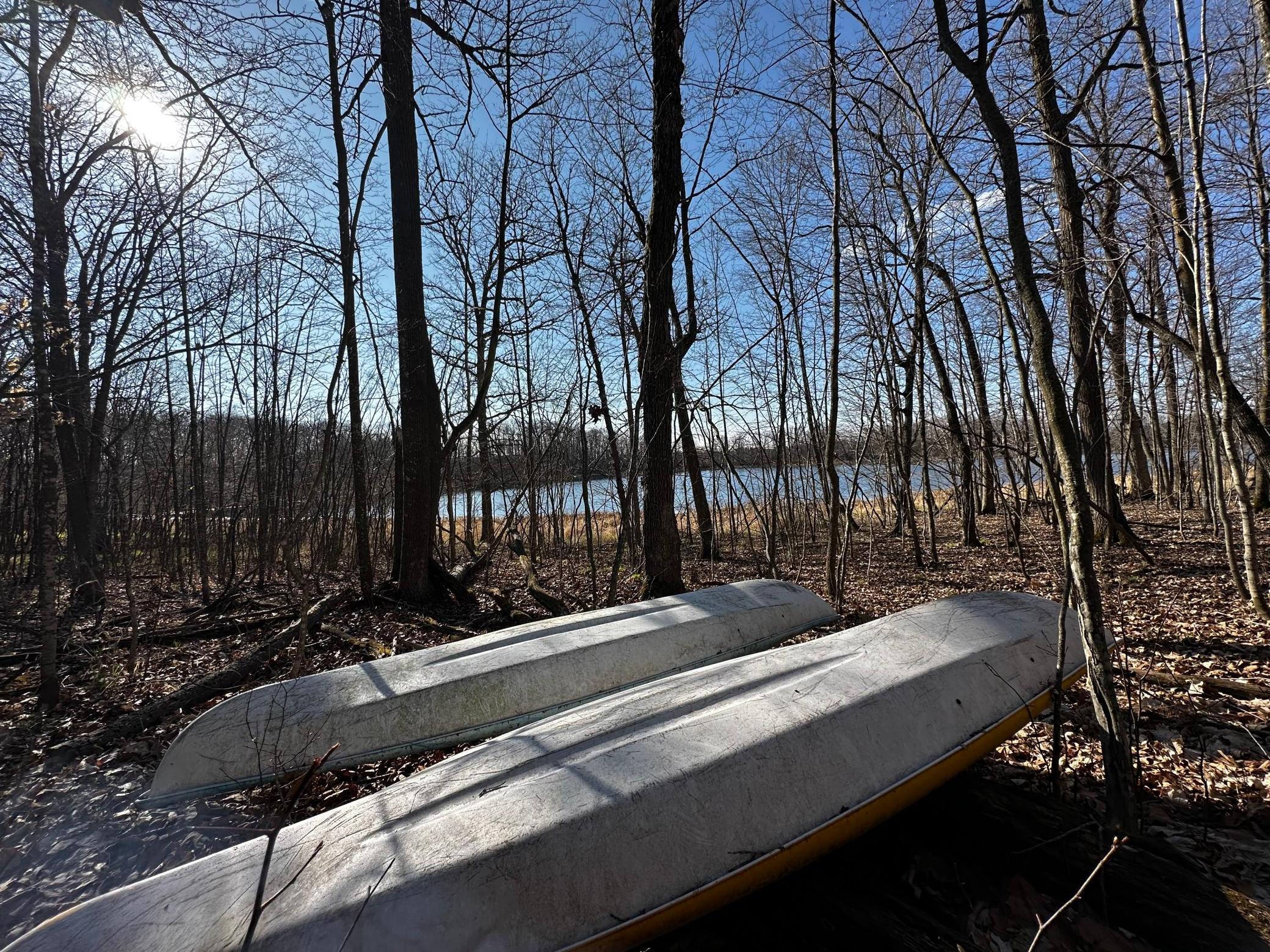 XXX Wilson Lake Drive, Deerwood, Minnesota image 1