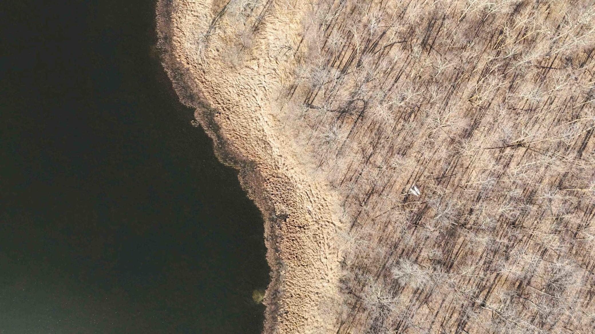 XXX Wilson Lake Drive, Deerwood, Minnesota image 8