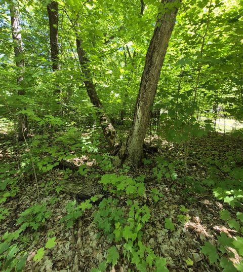 Vacant Land For Sale - TBD LOT 309 197th Avenue<br/> Mcgregor, MN 55760