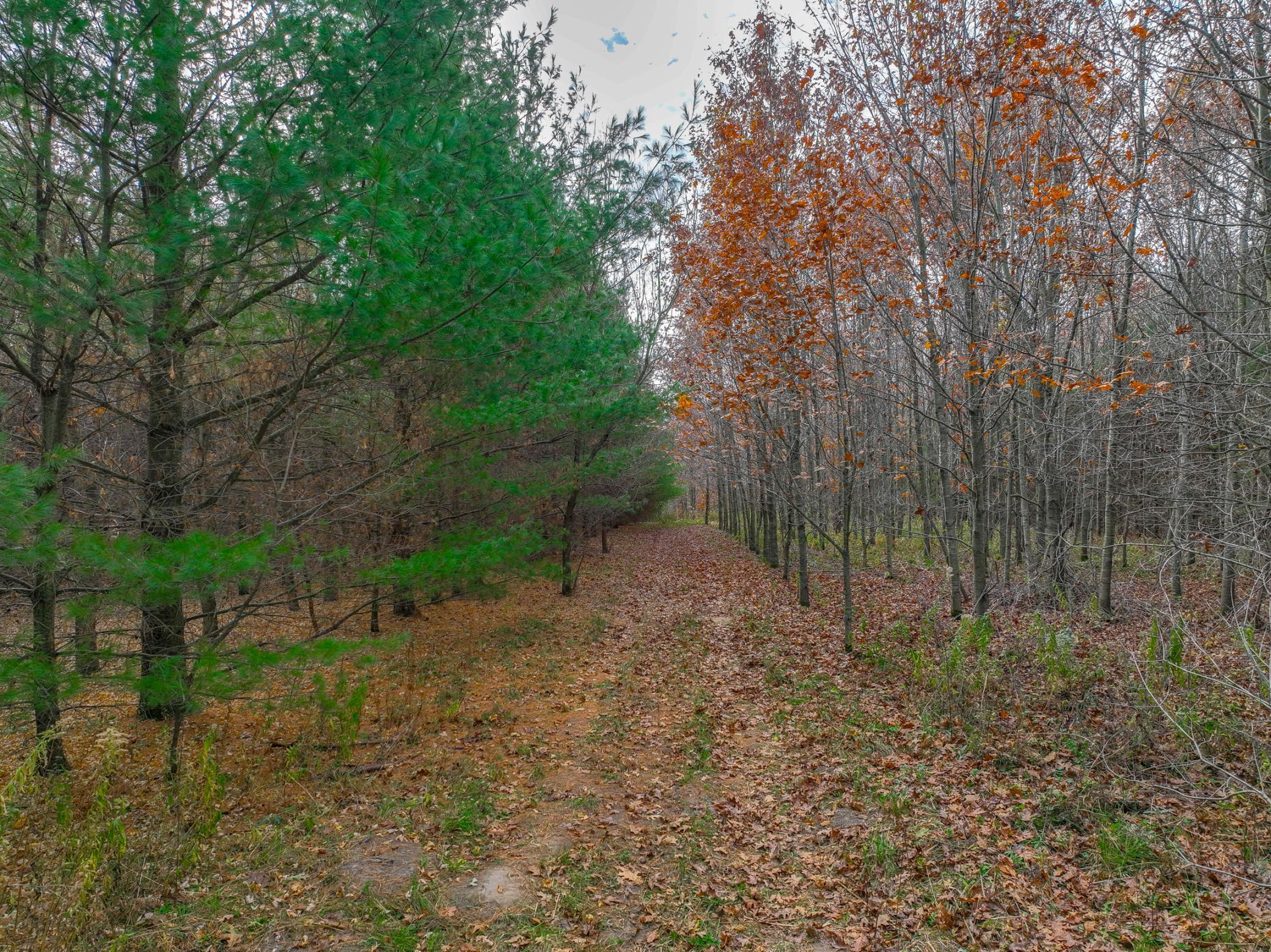 Xxx Lot #6 110th Avenue, Hammond, Wisconsin image 3