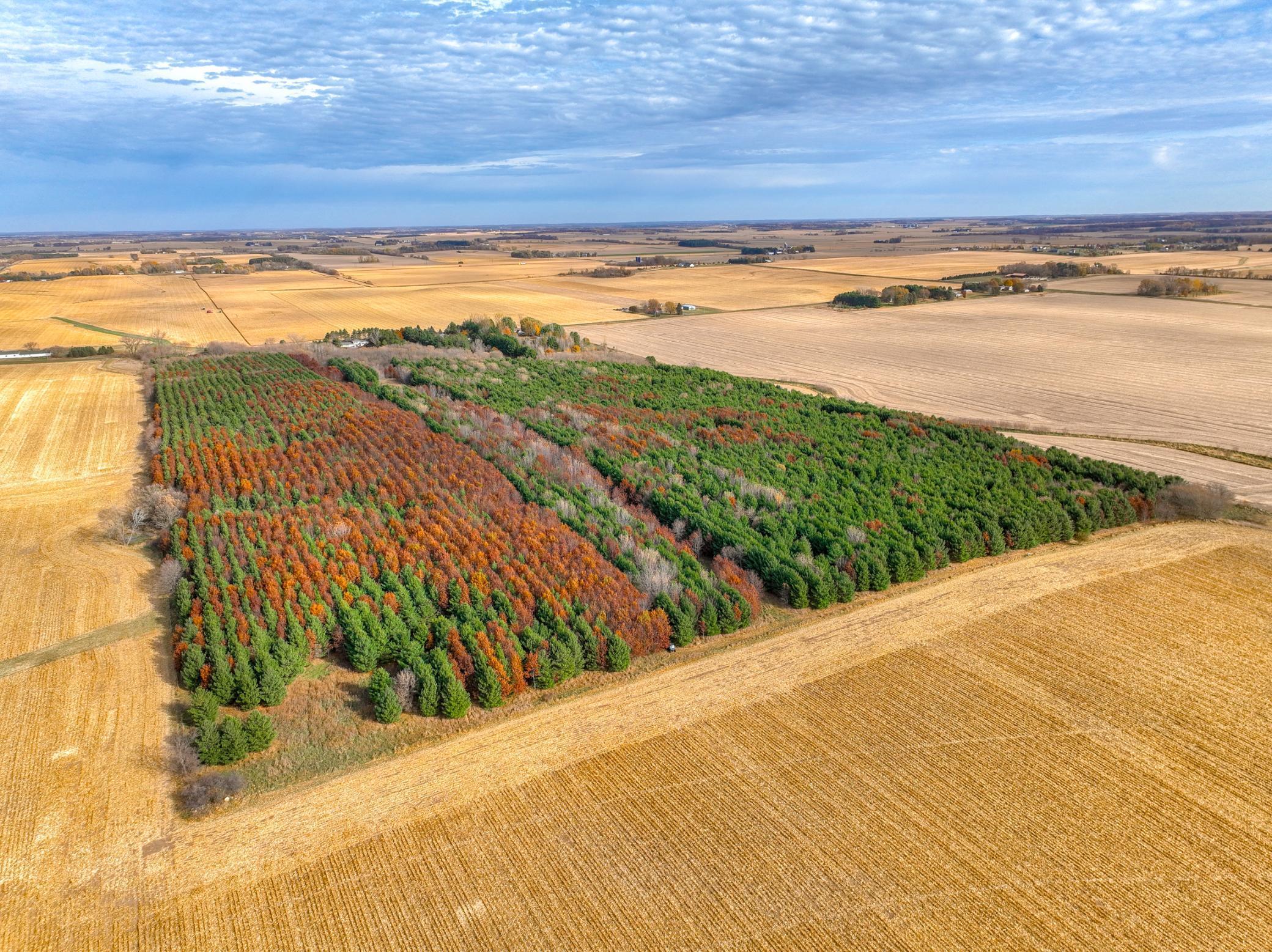 Xxx Lot #6 110th Avenue, Hammond, Wisconsin image 2