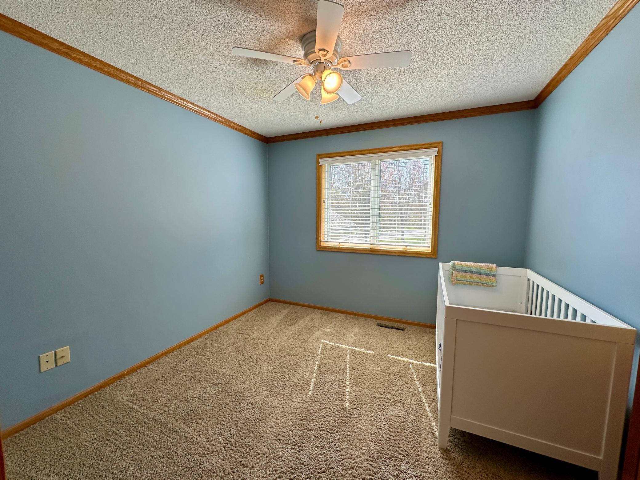 650 River Birch Place, Circle Pines, Minnesota image 21