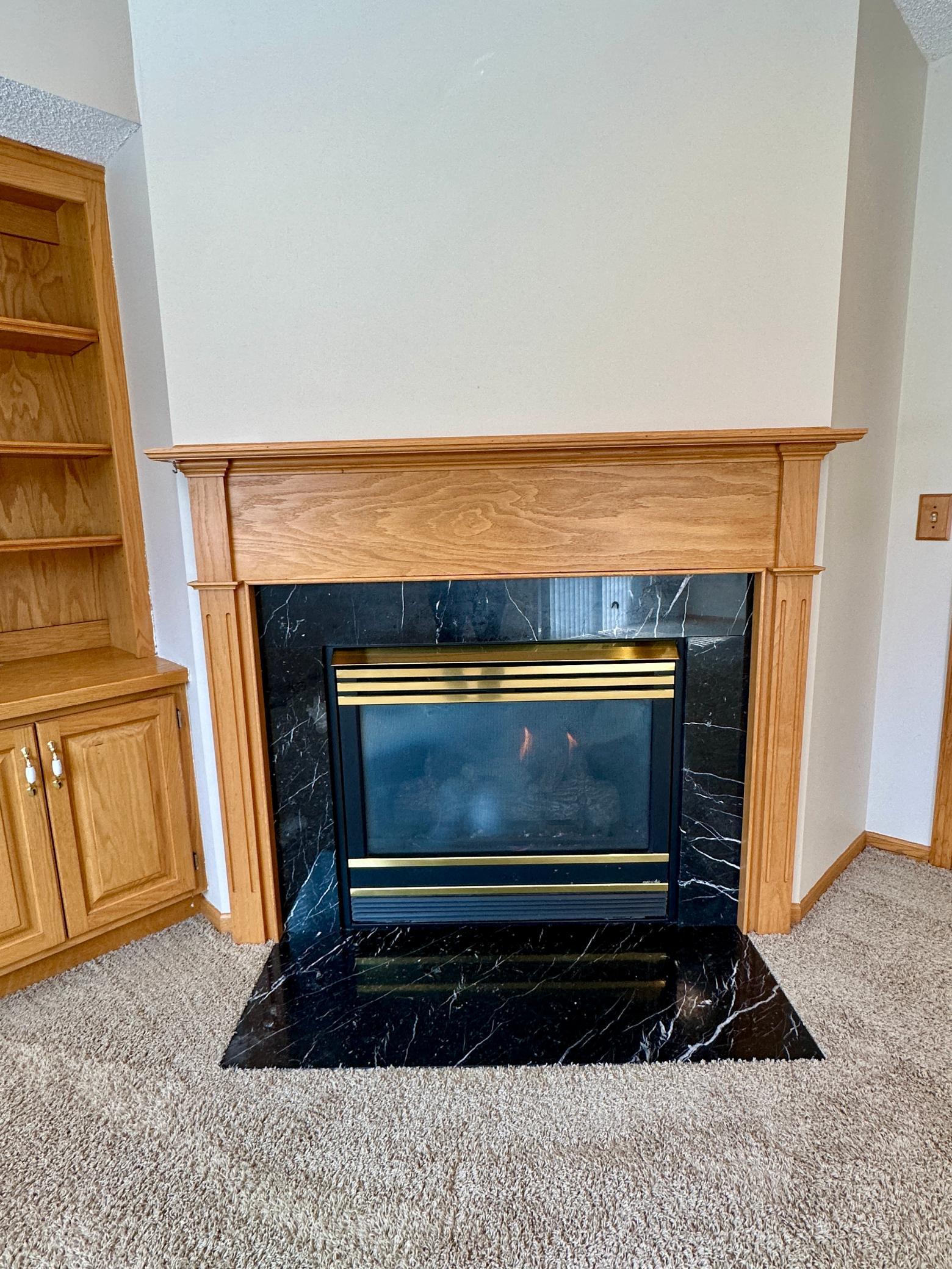 650 River Birch Place, Circle Pines, Minnesota image 24