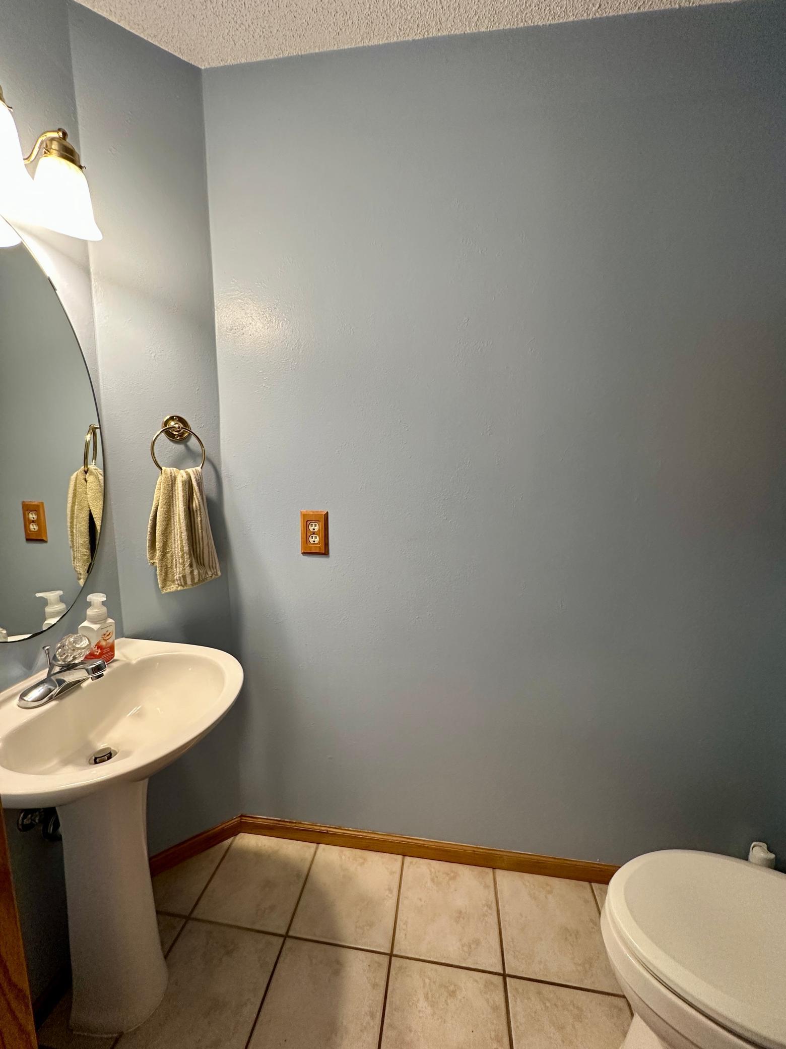 650 River Birch Place, Circle Pines, Minnesota image 13