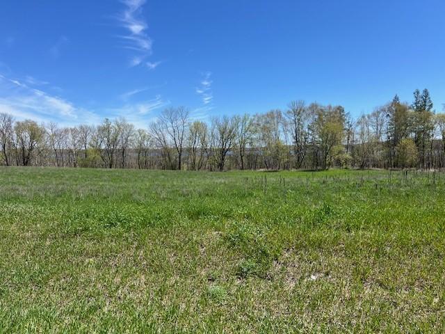 Lot 16 Alum Trail, Grey Eagle, Minnesota image 3