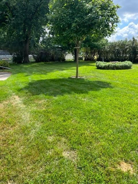 641 16th Street, Windom, Minnesota image 23