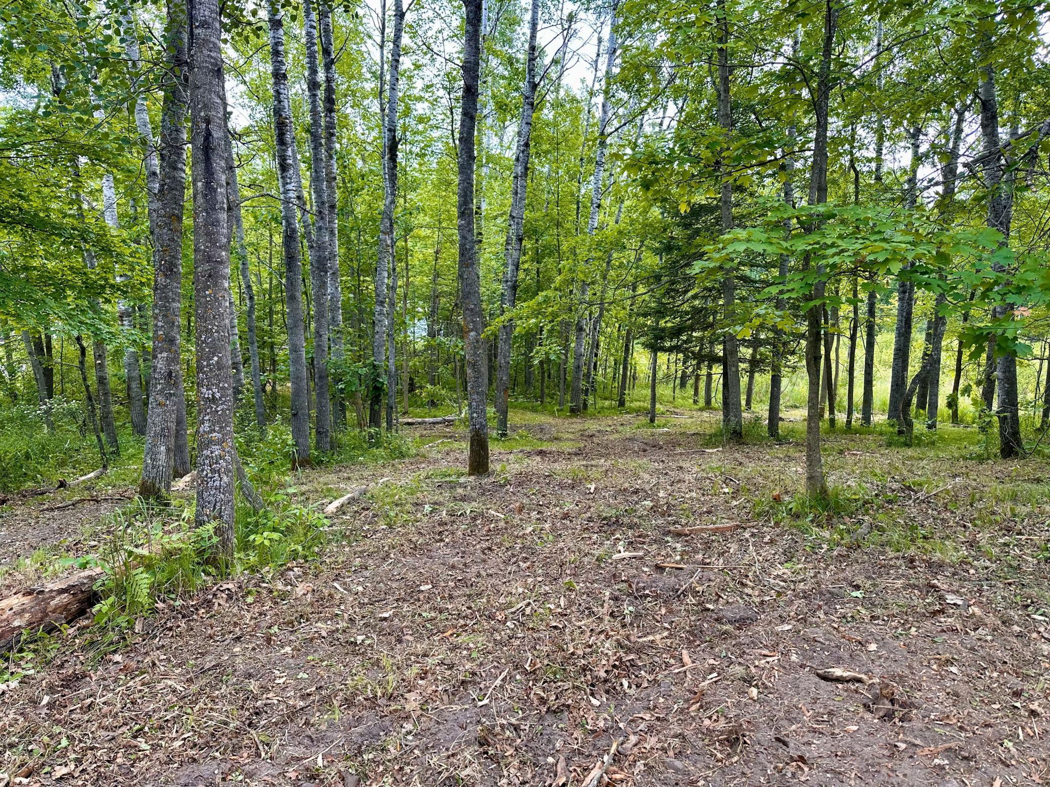 TBD Ja Bird Loop, Longville, Minnesota image 7
