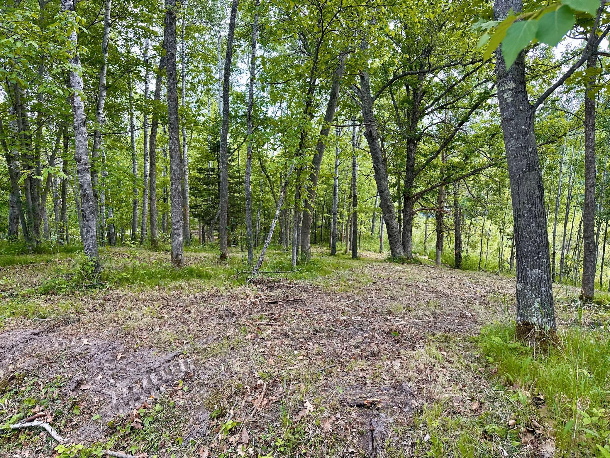 TBD Ja Bird Loop, Longville, Minnesota image 8