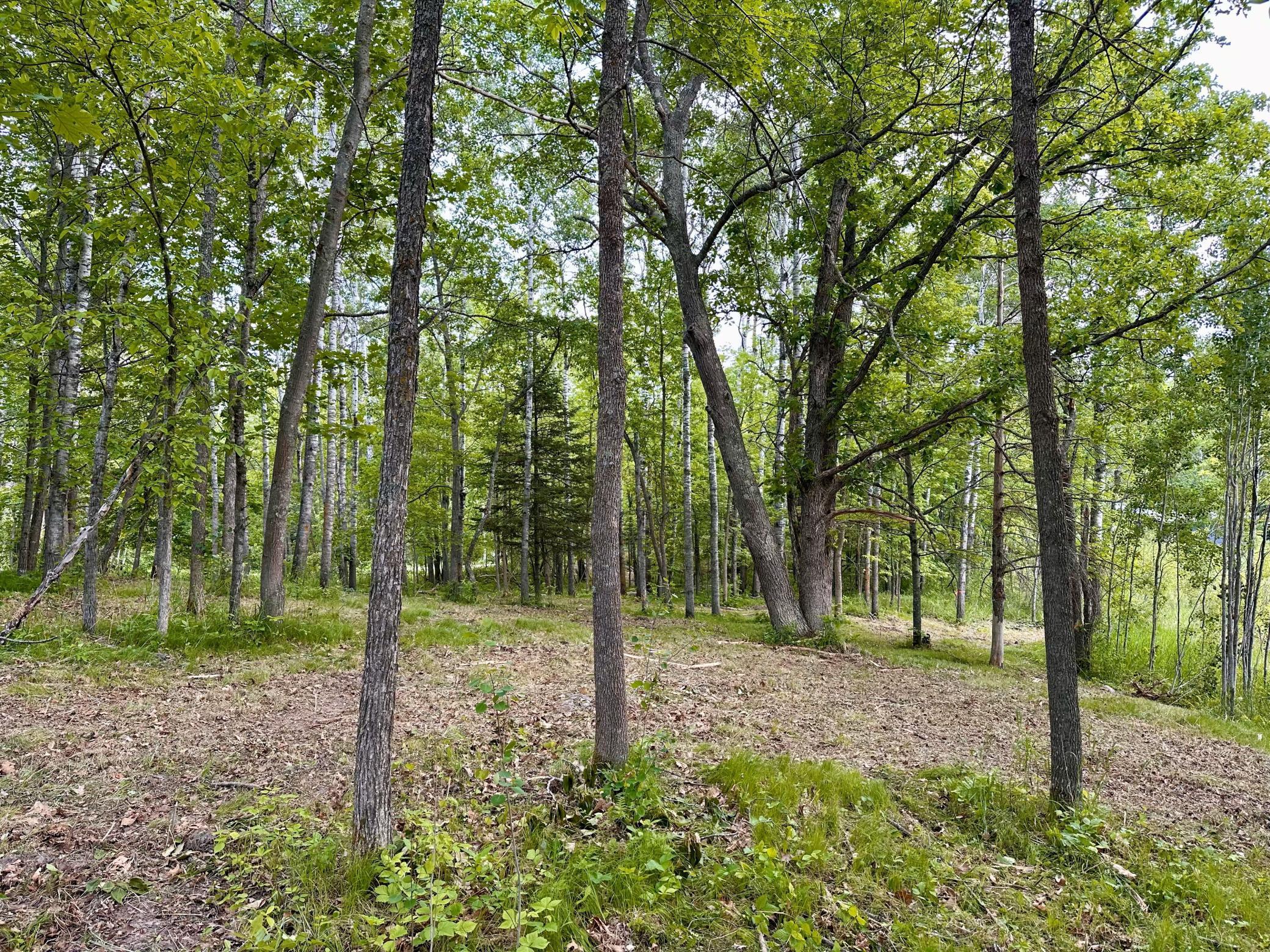TBD Ja Bird Loop, Longville, Minnesota image 13