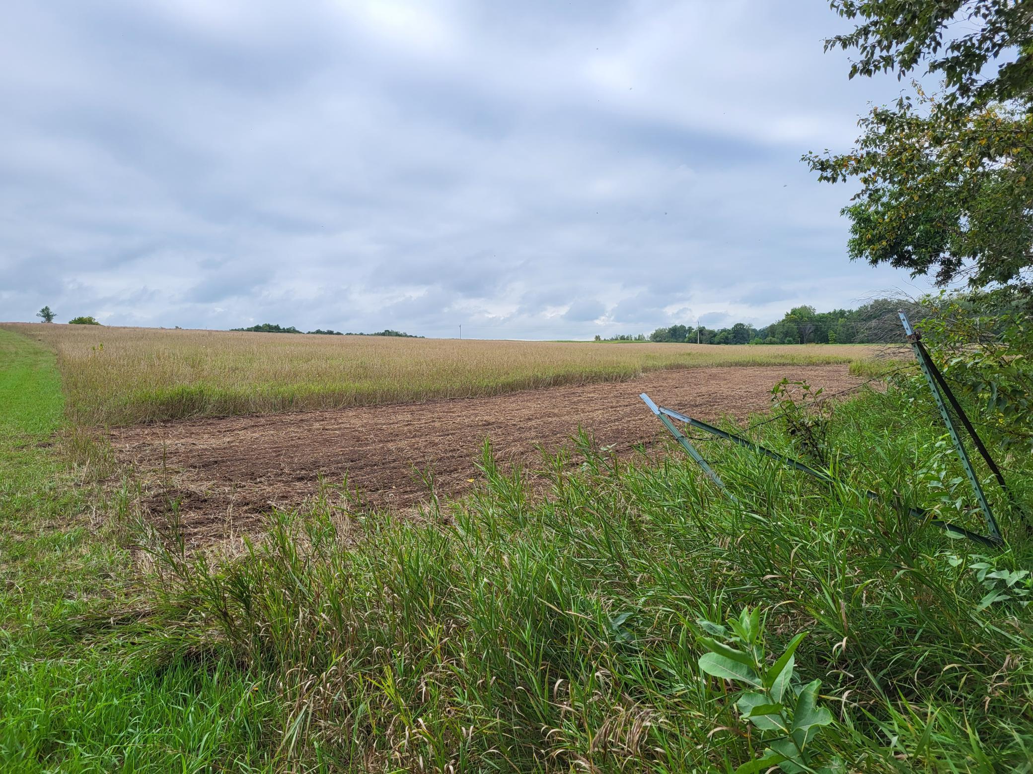 TBD 150th Street, Verndale, Minnesota image 16