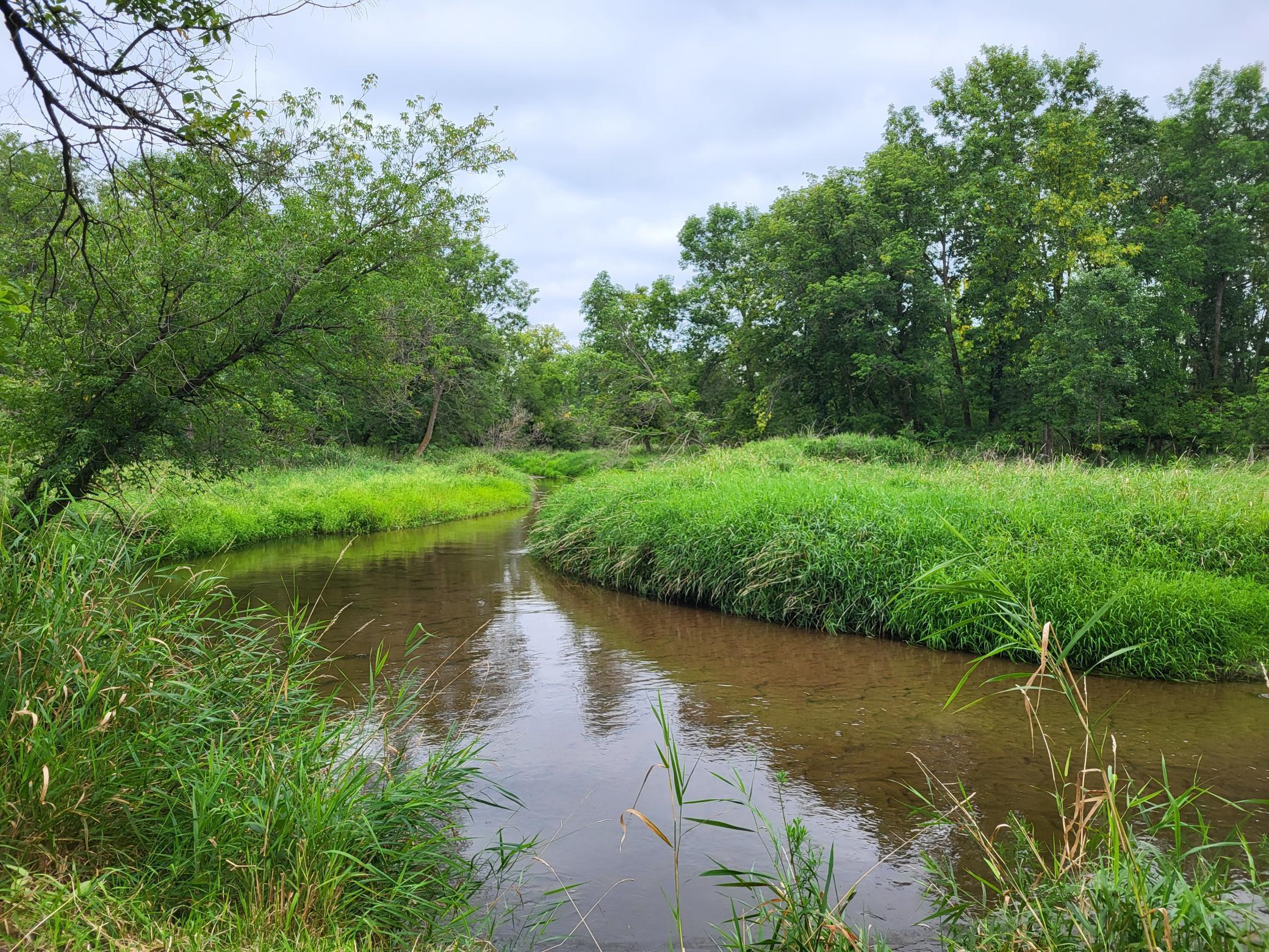 TBD 150th Street, Verndale, Minnesota image 7