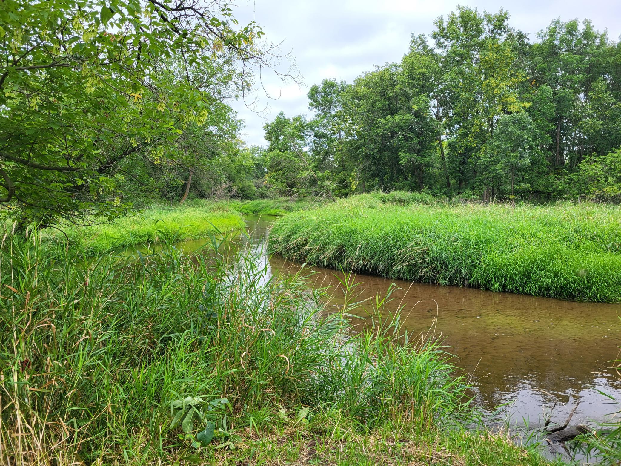 TBD 150th Street, Verndale, Minnesota image 6