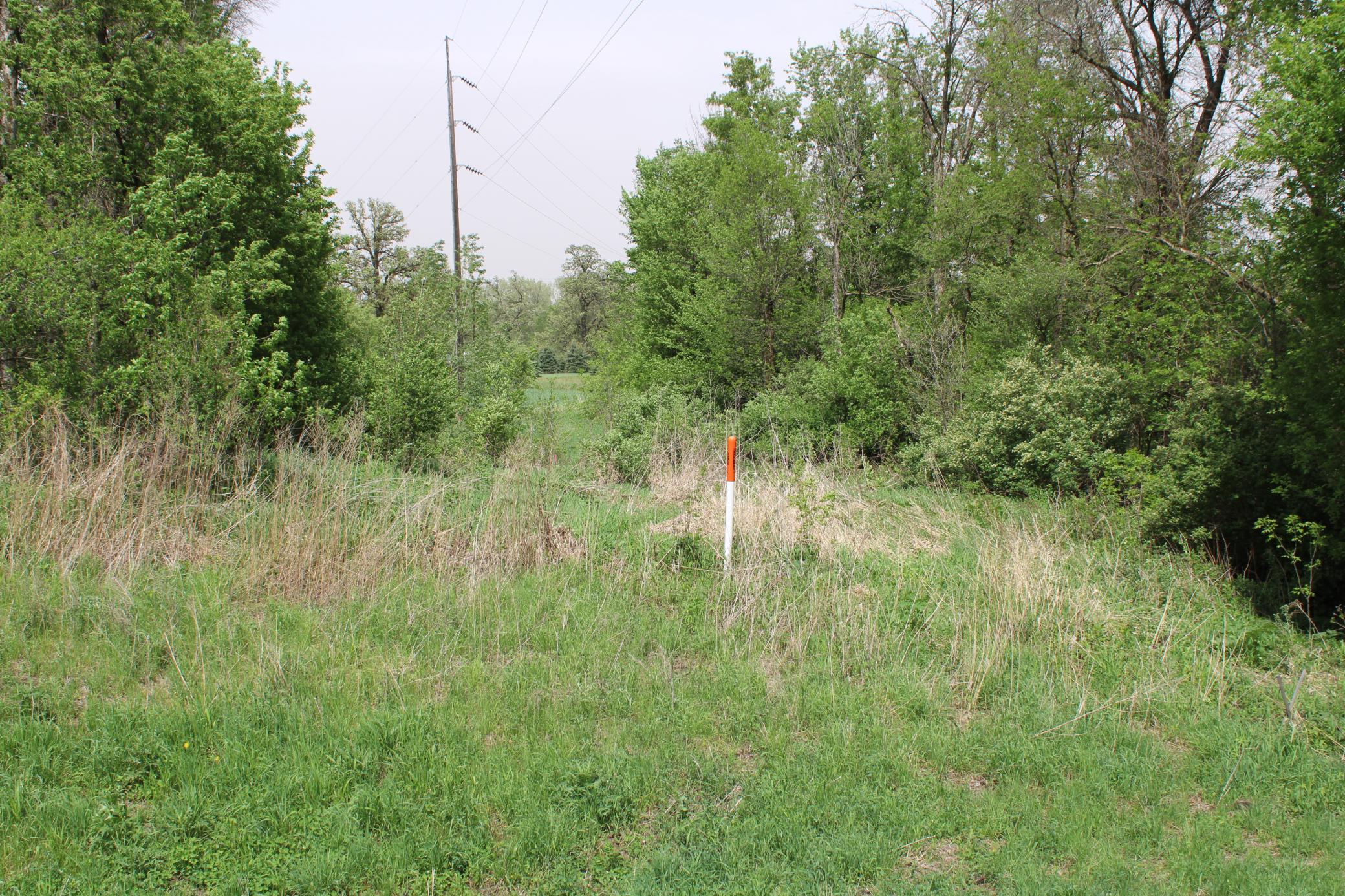 TBD County Hwy 24 Road, Pine Island, Minnesota image 12