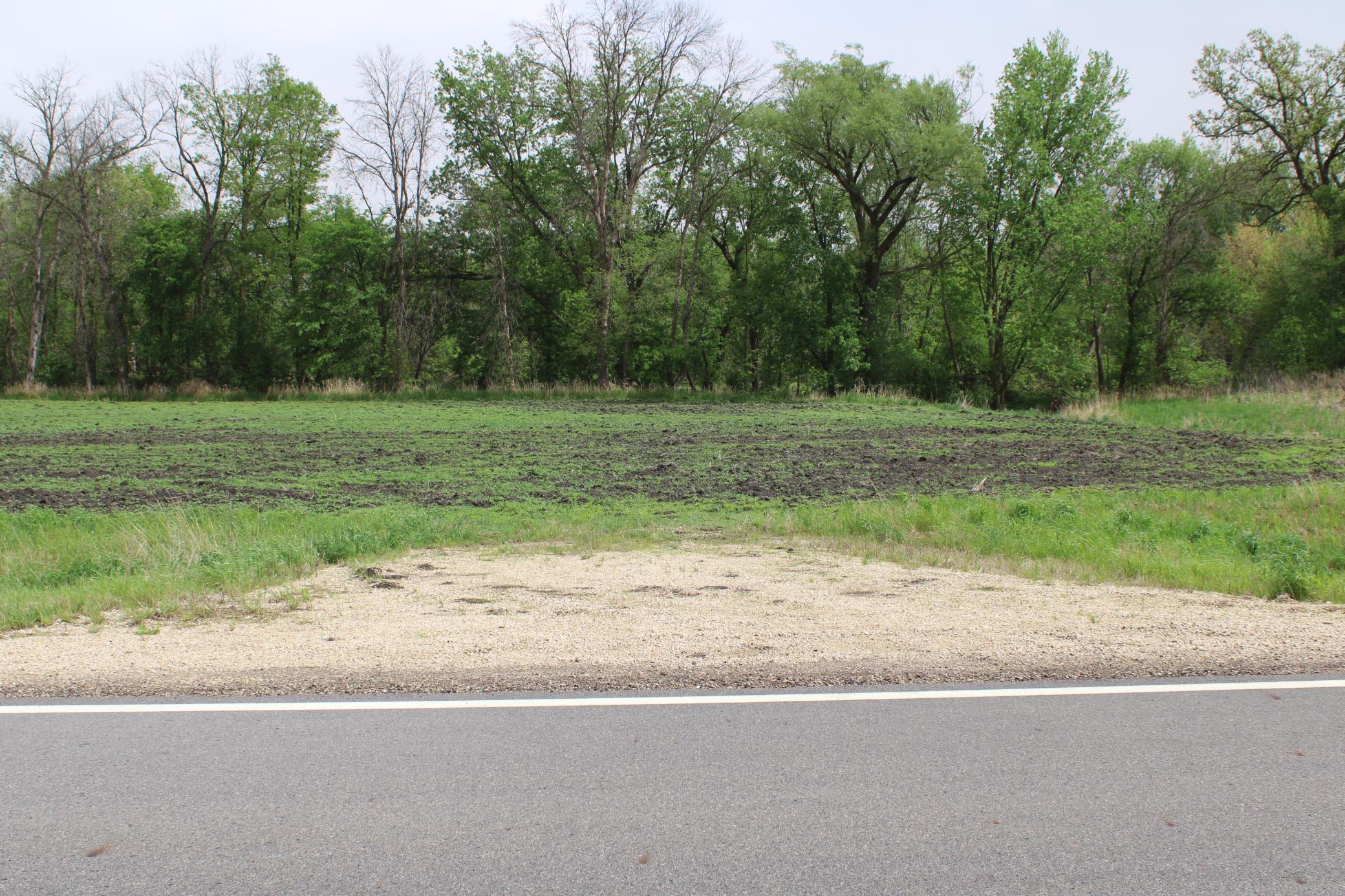 TBD County Hwy 24 Road, Pine Island, Minnesota image 15