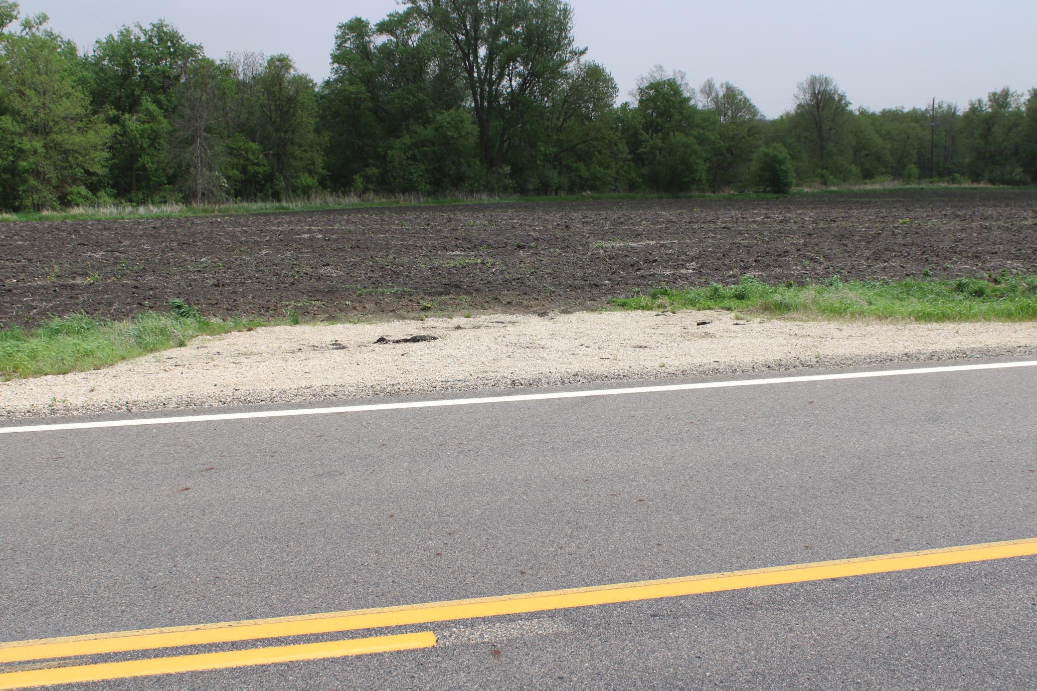TBD County Hwy 24 Road, Pine Island, Minnesota image 17