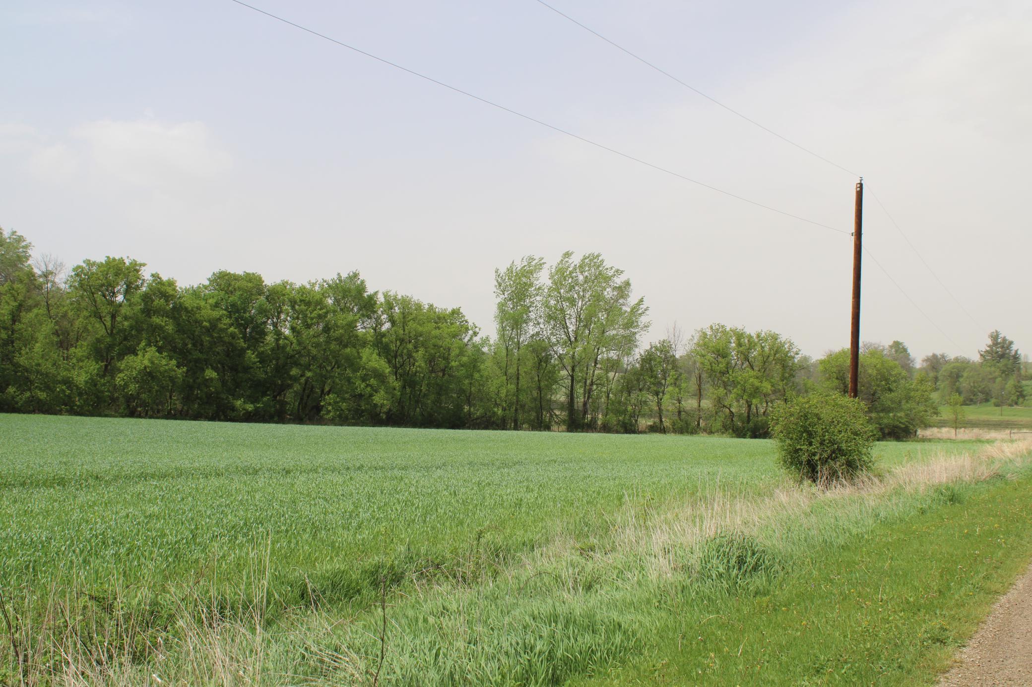 TBD County Hwy 24 Road, Pine Island, Minnesota image 10