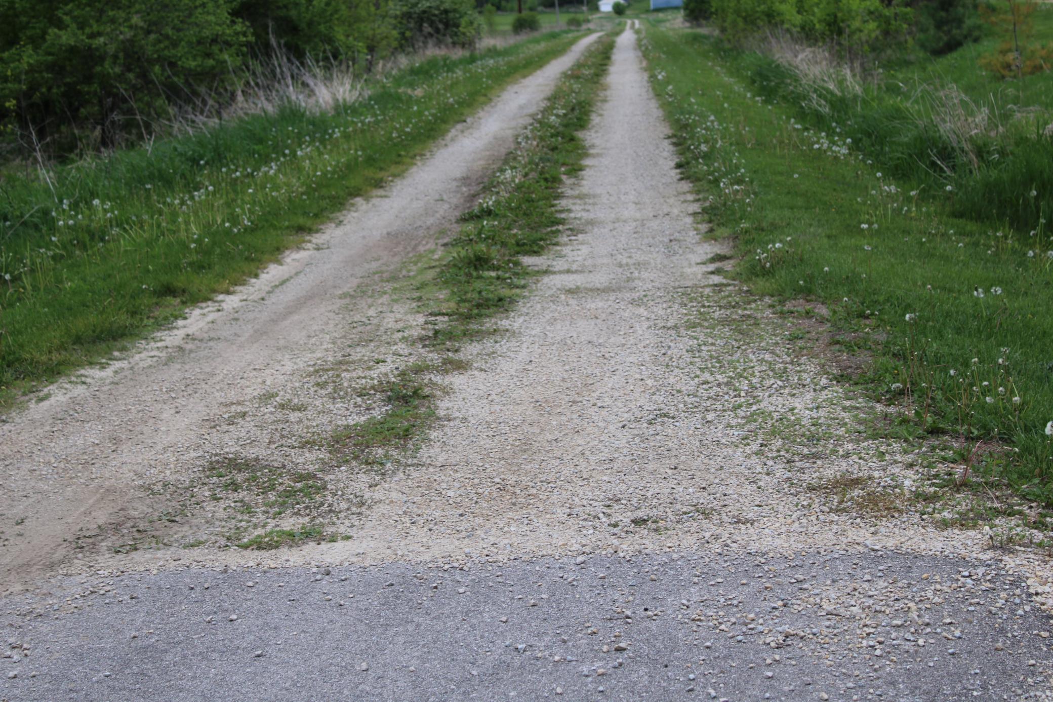 TBD County Hwy 24 Road, Pine Island, Minnesota image 20