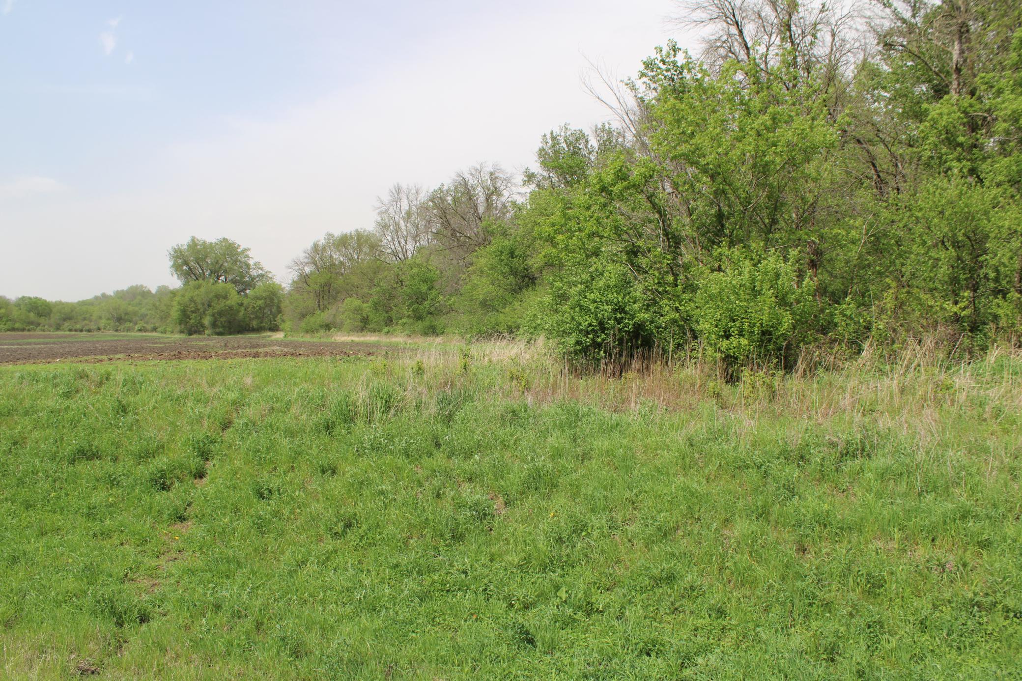 TBD County Hwy 24 Road, Pine Island, Minnesota image 13