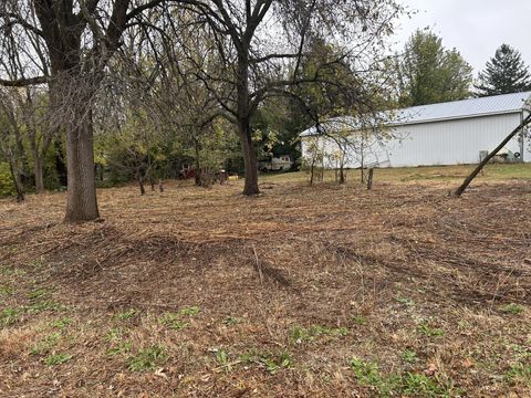 Vacant Land For Sale - TBD 266th St & 539th Ave<br/> Mower County, Lansing, MN 55950