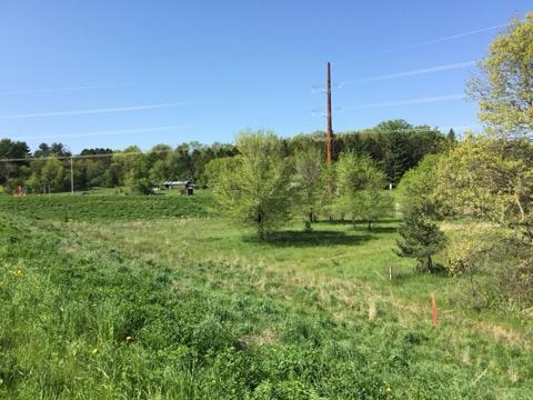 Xxx County Road 24 & 63rd Ave, Cannon Falls, Minnesota image 4