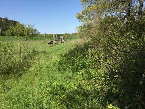 Xxx County Road 24 & 63rd Ave, Cannon Falls, Minnesota image 3