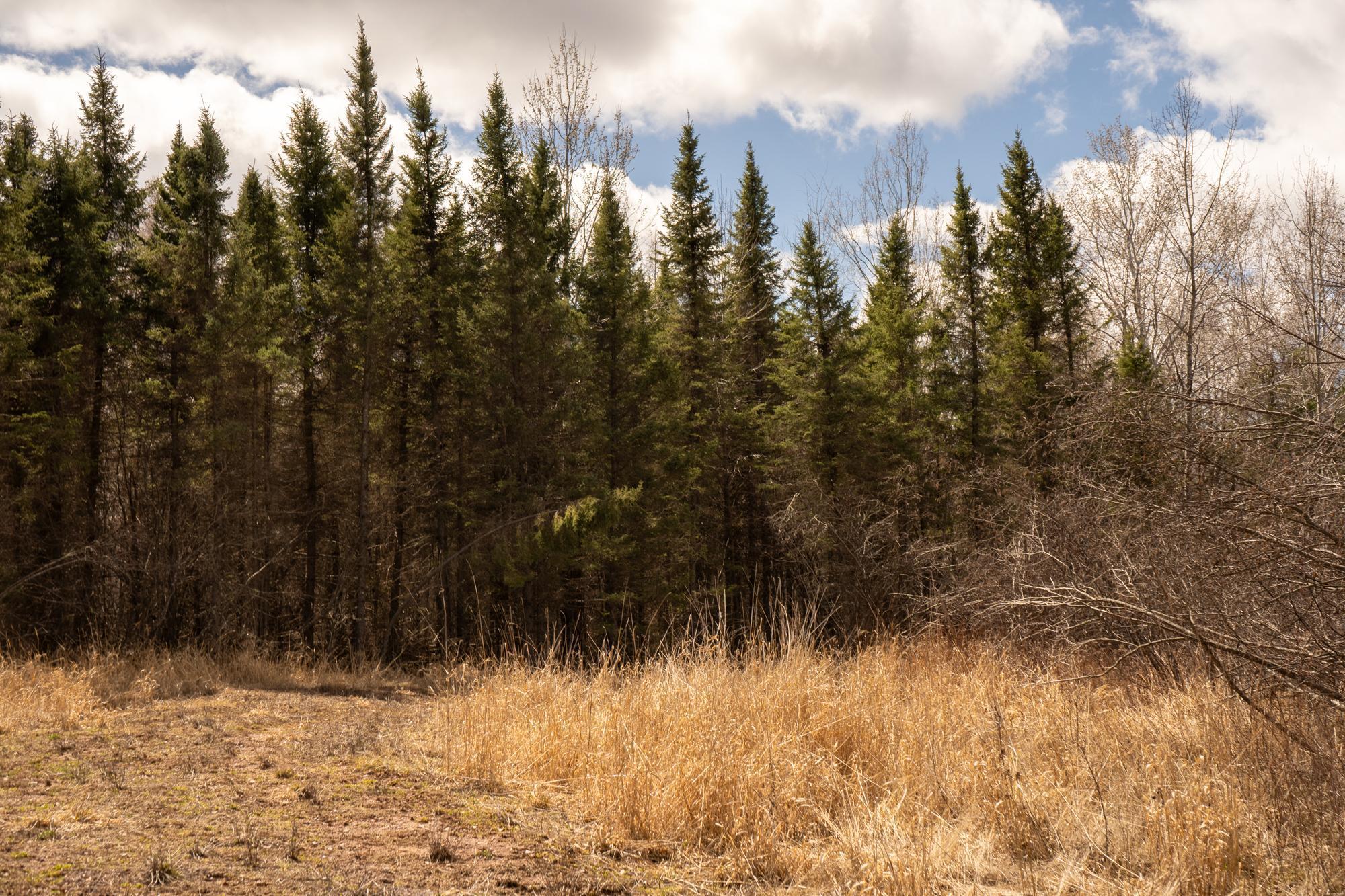 4809 Walczak Road, Kettle River, Minnesota image 10