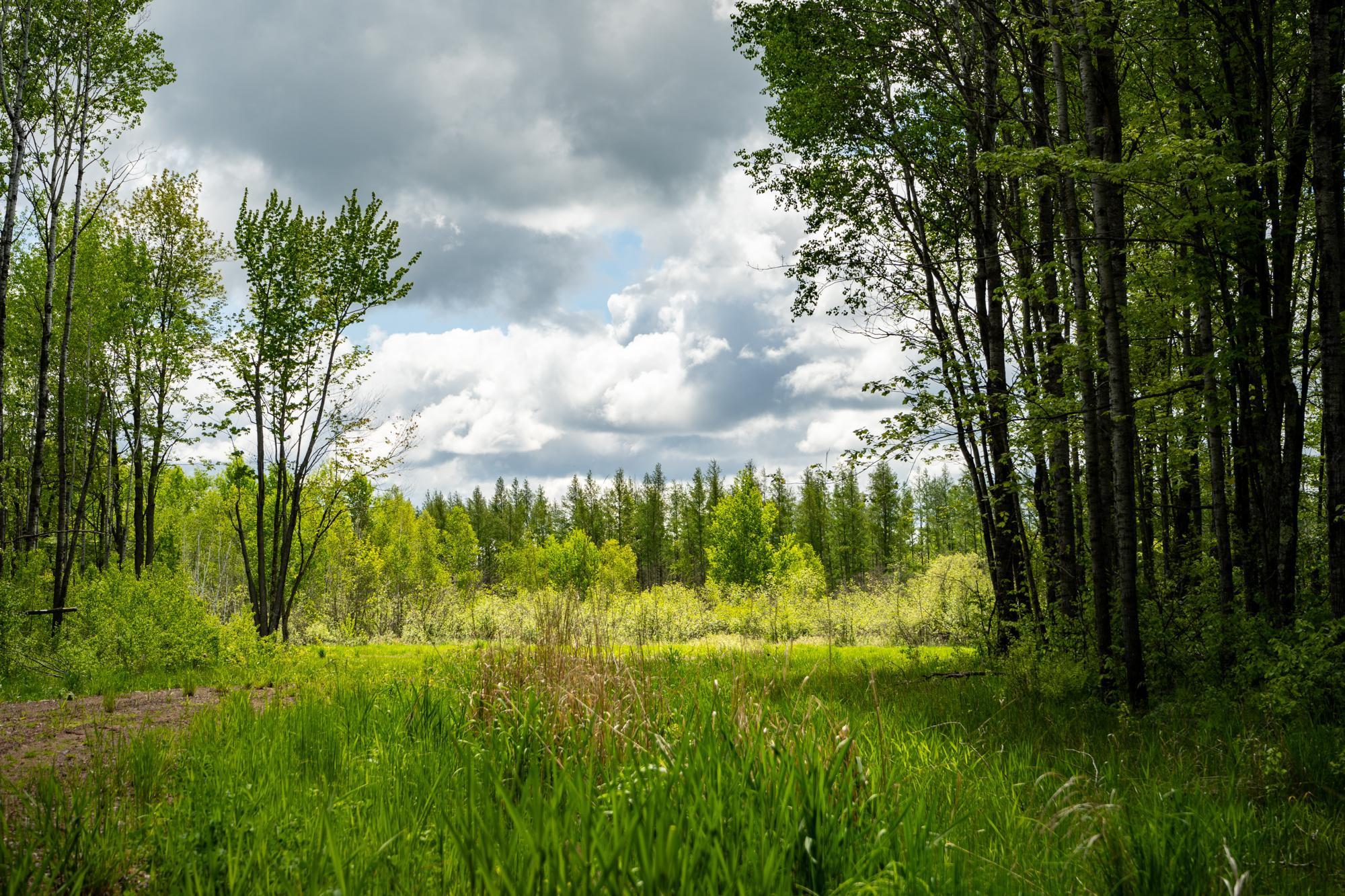 4809 Walczak Road, Kettle River, Minnesota image 1