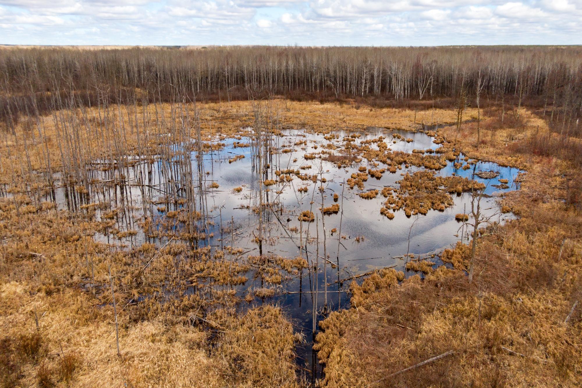 4809 Walczak Road, Kettle River, Minnesota image 18