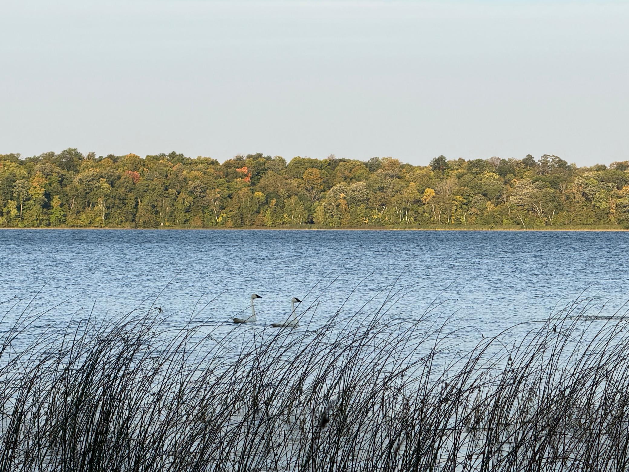 (LOT 1) TBD NE Rock Lake Road, Rochert, Minnesota image 45