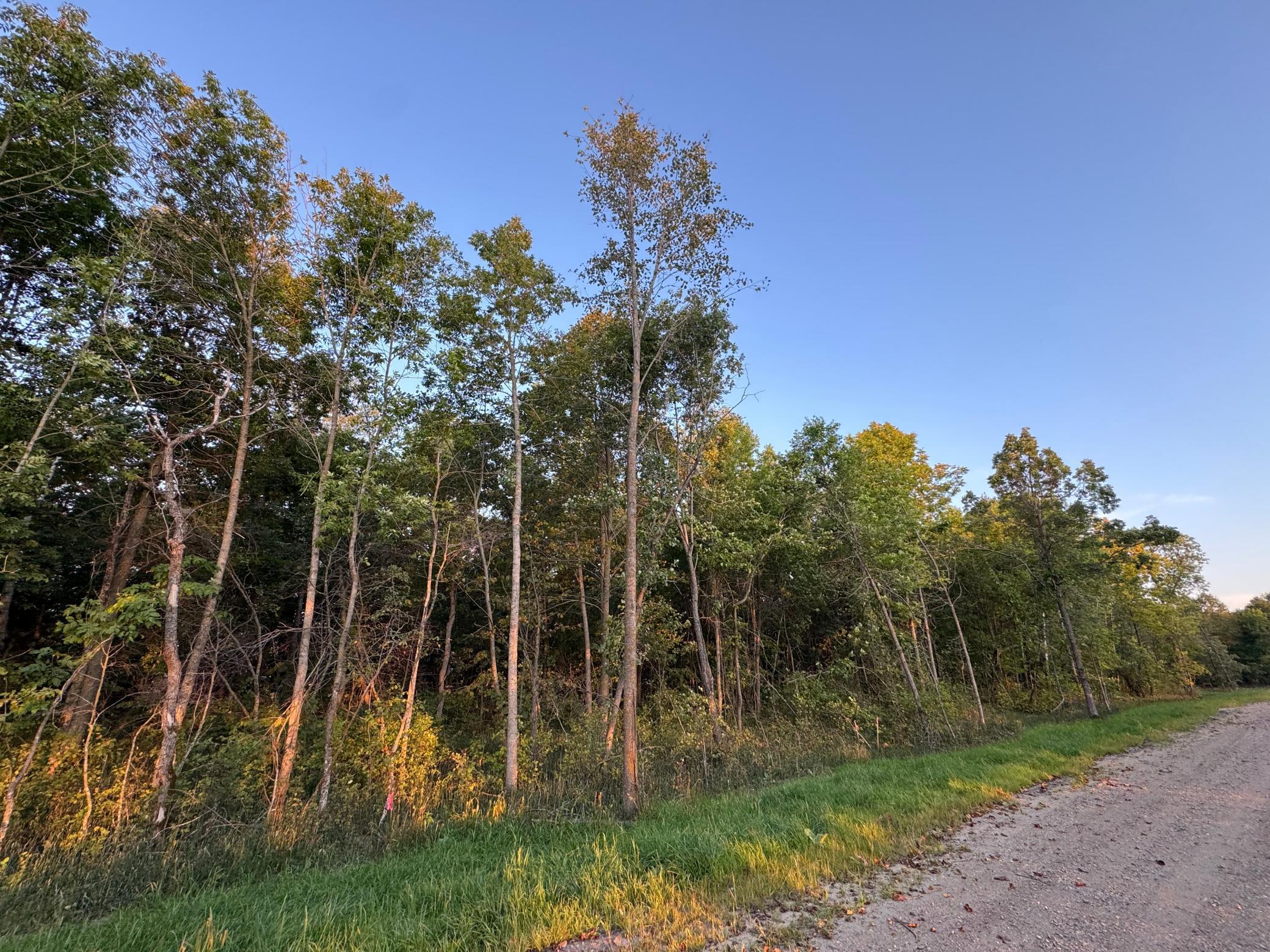 (LOT 1) TBD NE Rock Lake Road, Rochert, Minnesota image 18