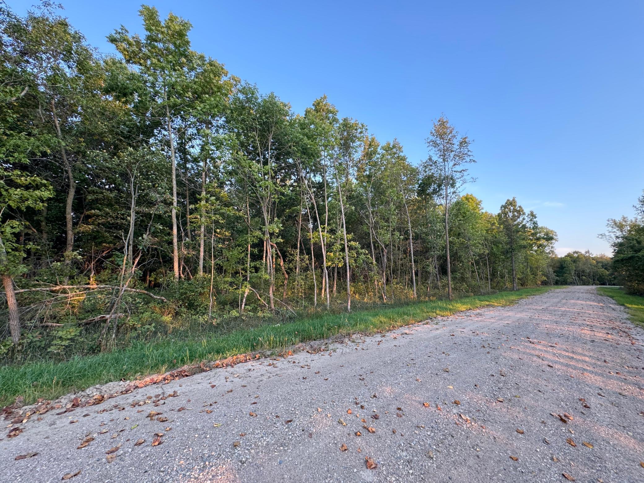 (LOT 1) TBD NE Rock Lake Road, Rochert, Minnesota image 17