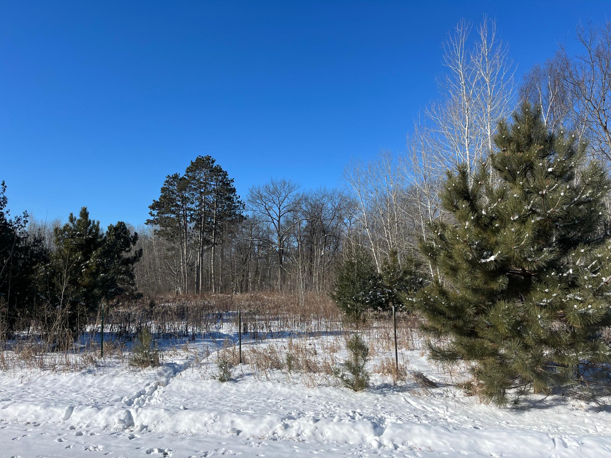 TBD Fox Run Lane, Deerwood, Minnesota image 4