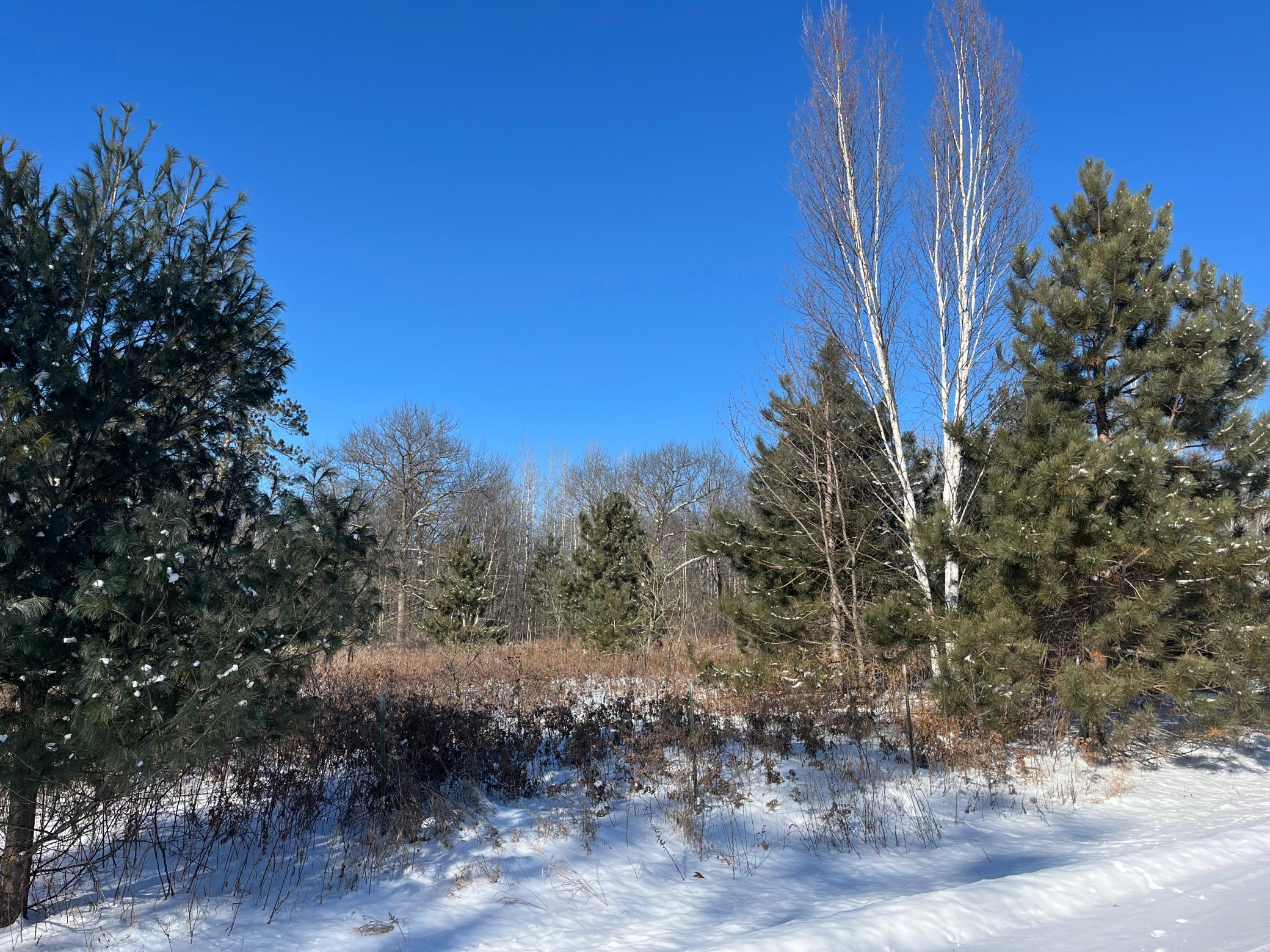 TBD Fox Run Lane, Deerwood, Minnesota image 3