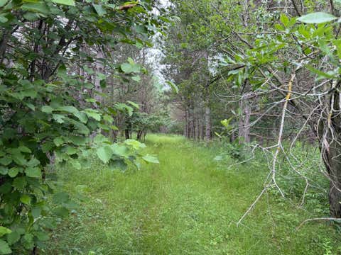 Vacant Land For Sale - 32656 310th Street<br/> Browerville, MN 56438