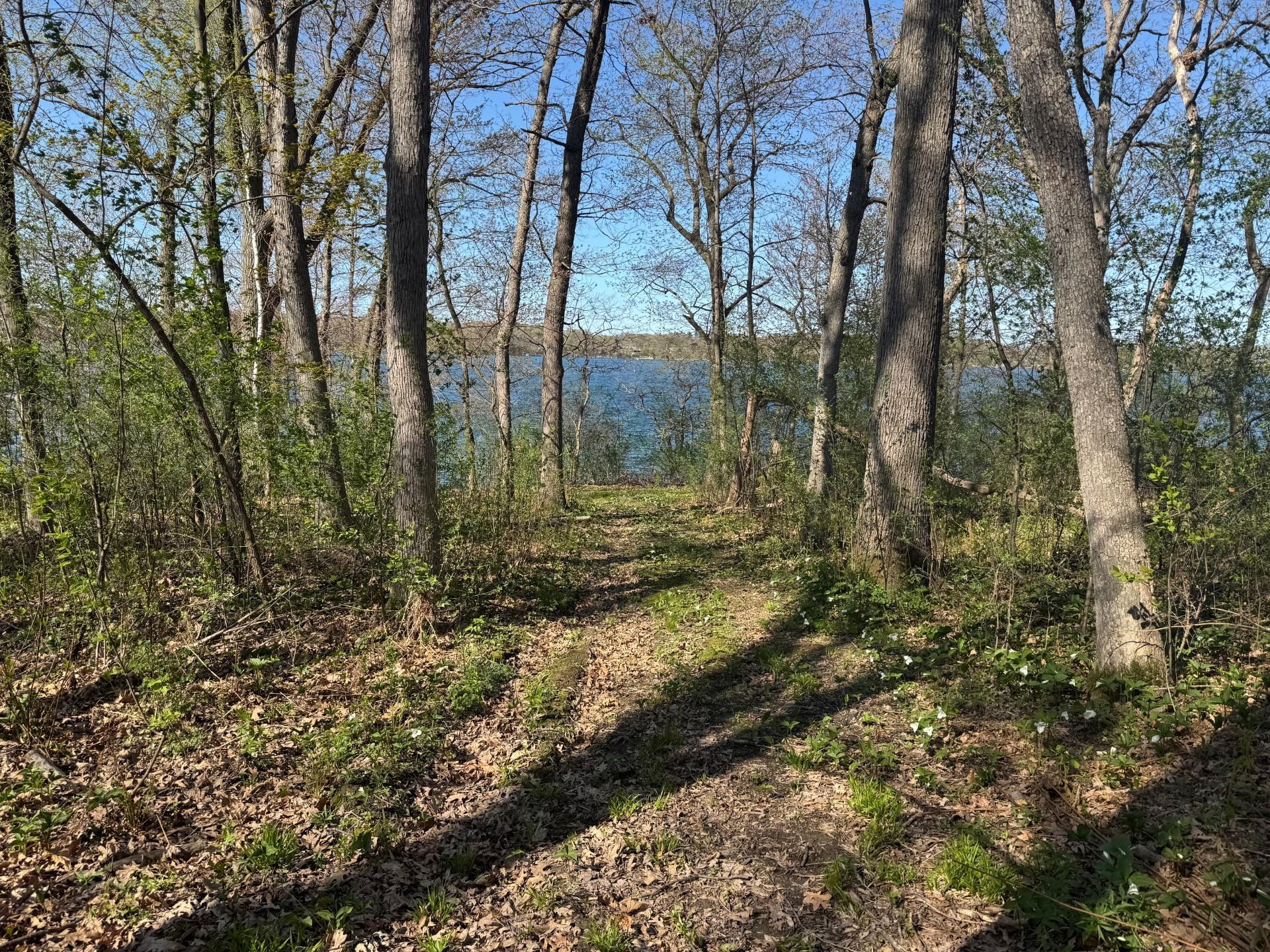 XXX 133rd Avenue, Saint Croix Falls, Wisconsin image 8