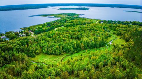 Vacant Land For Sale - LOT 1 N Blackduck Lake Road<br/> Hines, MN 56647
