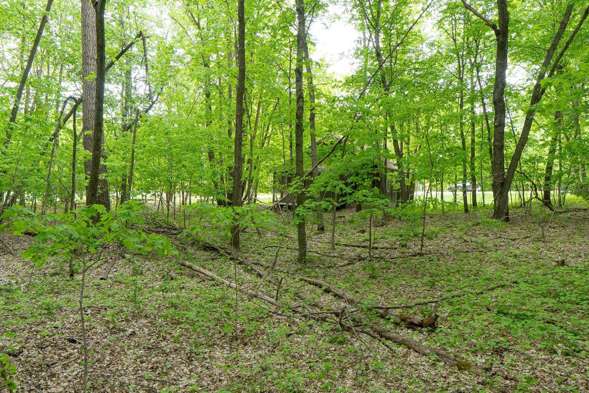 (LOT G) TBD NE Rock Lake Road, Rochert, Minnesota image 12