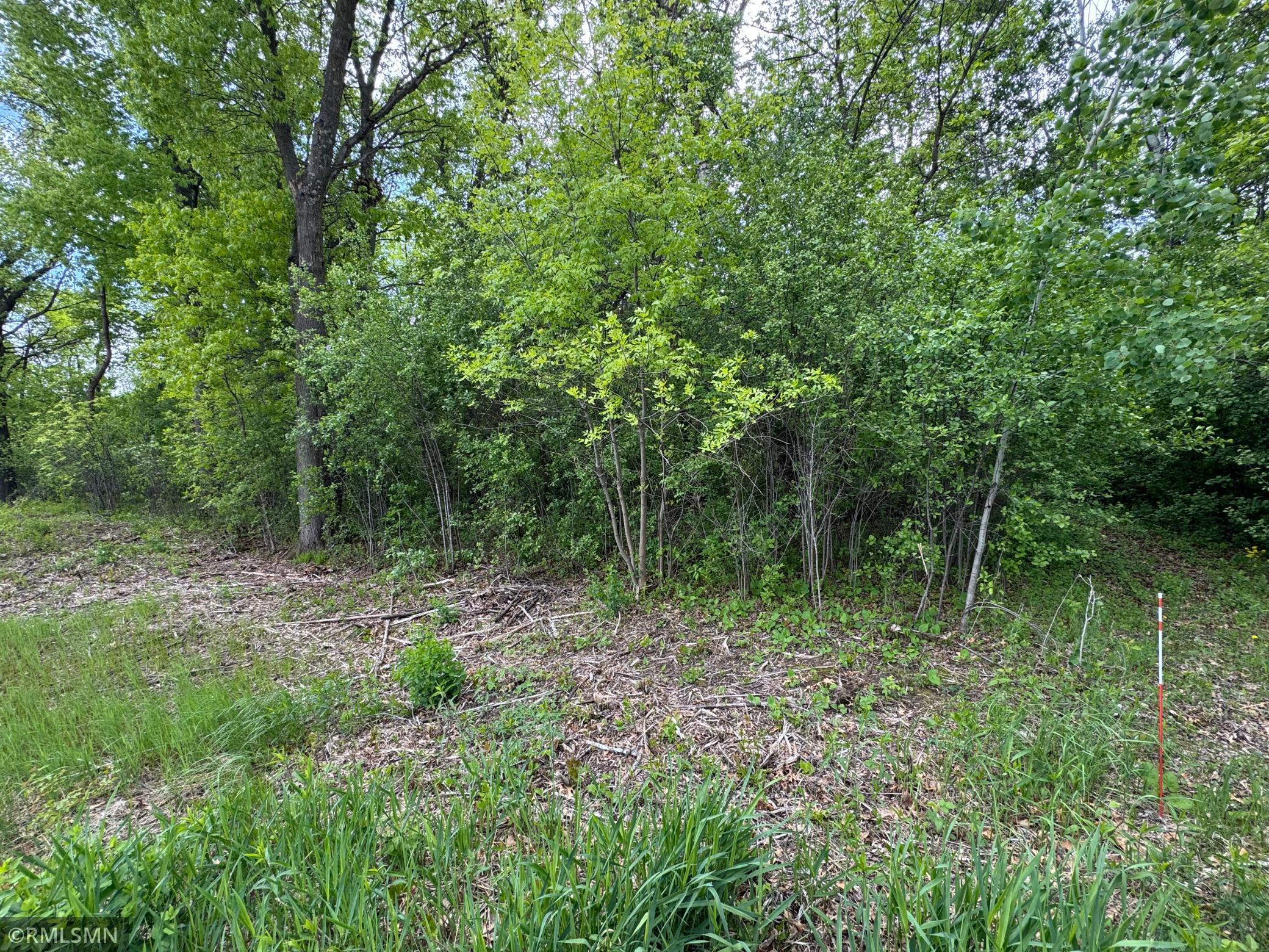 TBD Walnut Street, Mora, Minnesota image 5
