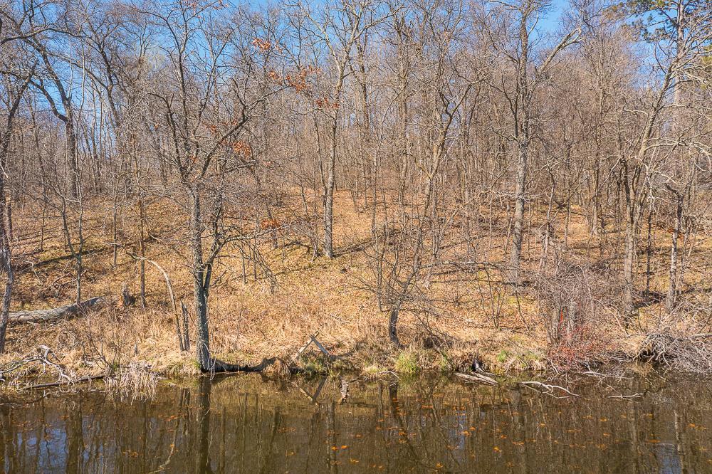 TBD Sleutter Road, Pequot Lakes, Minnesota image 16