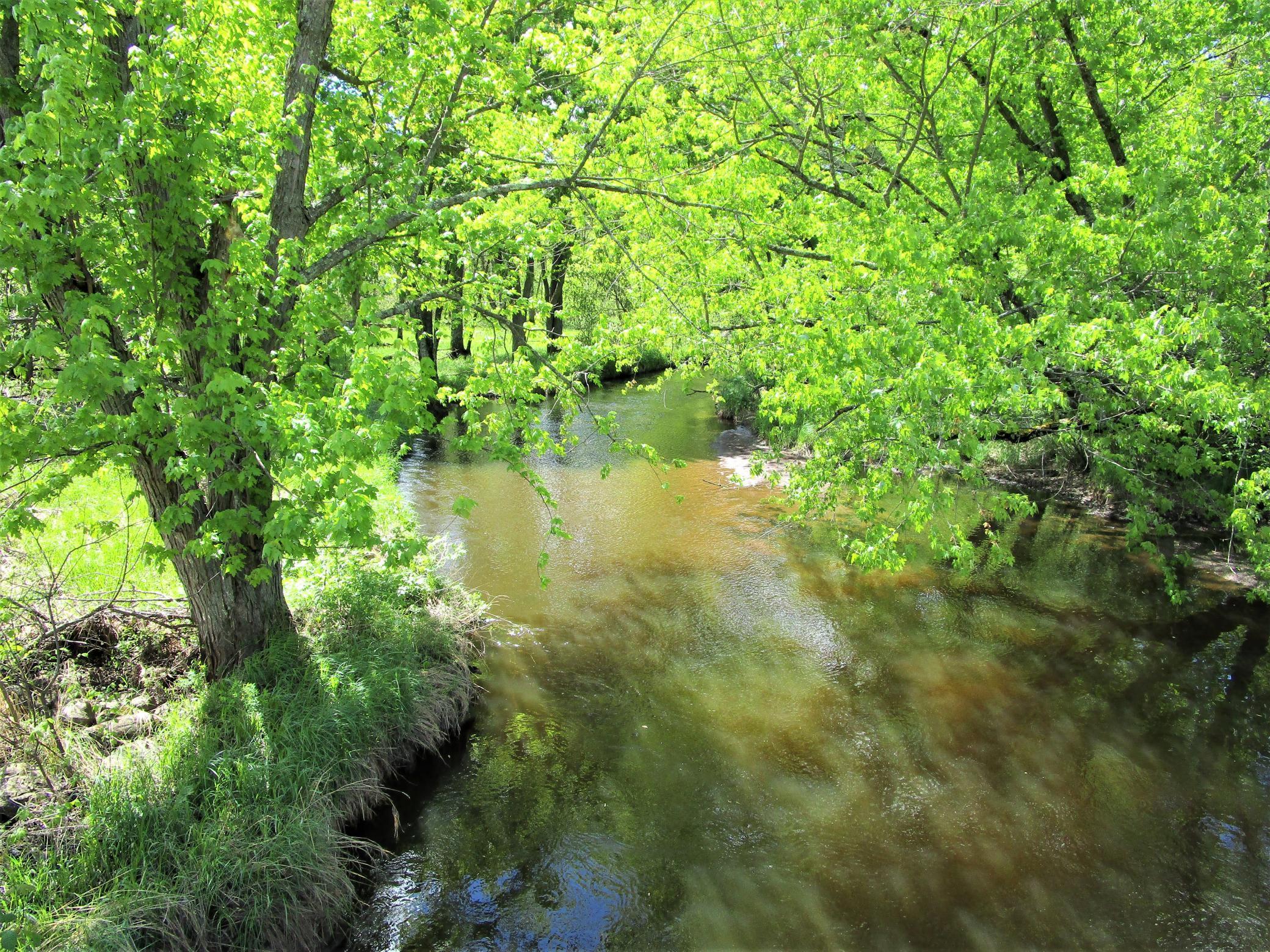 Lot 1 85th Street, Frederic, Wisconsin image 2