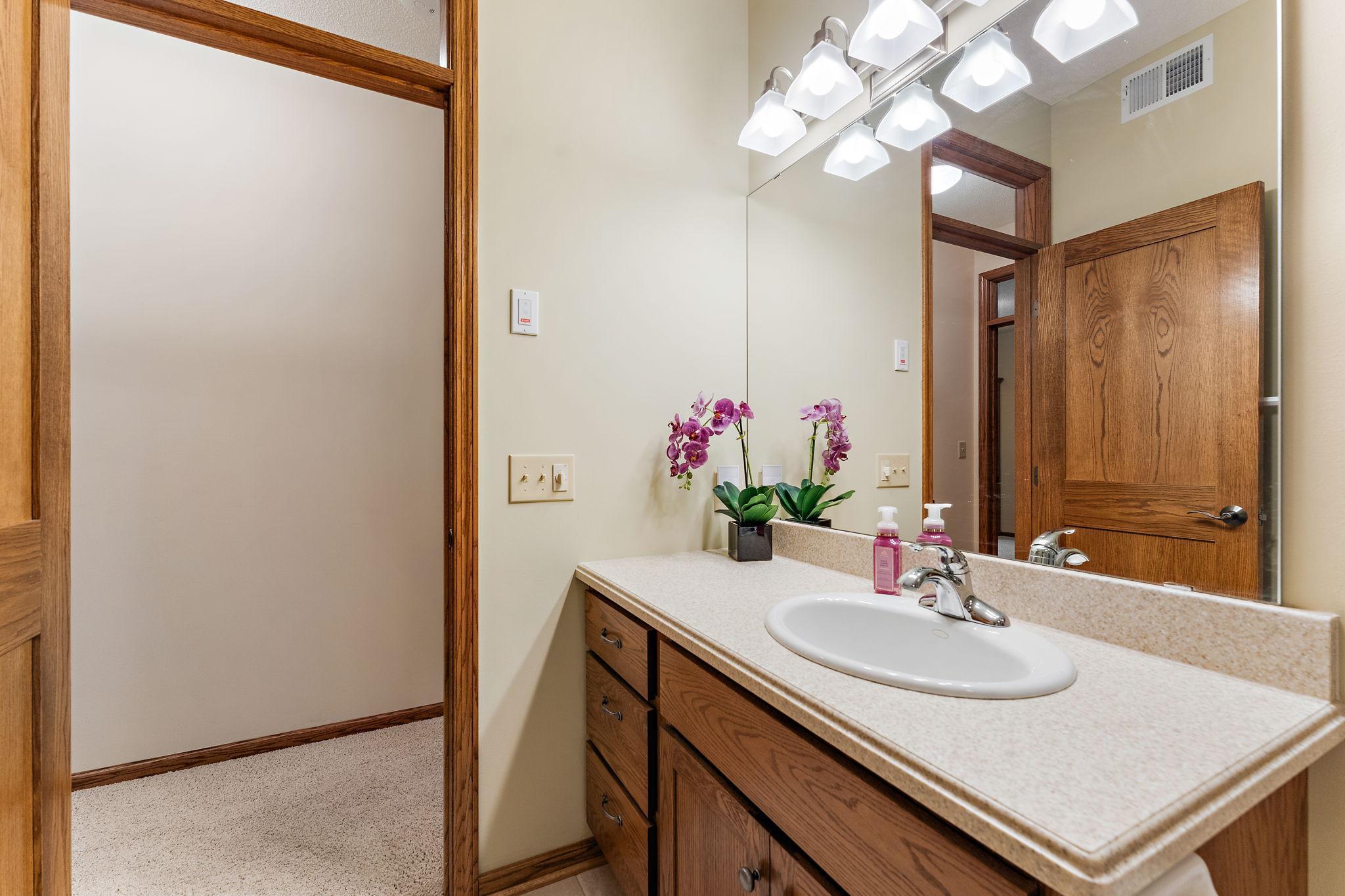 10616 Water Lily Lane, Saint Paul, Minnesota image 25