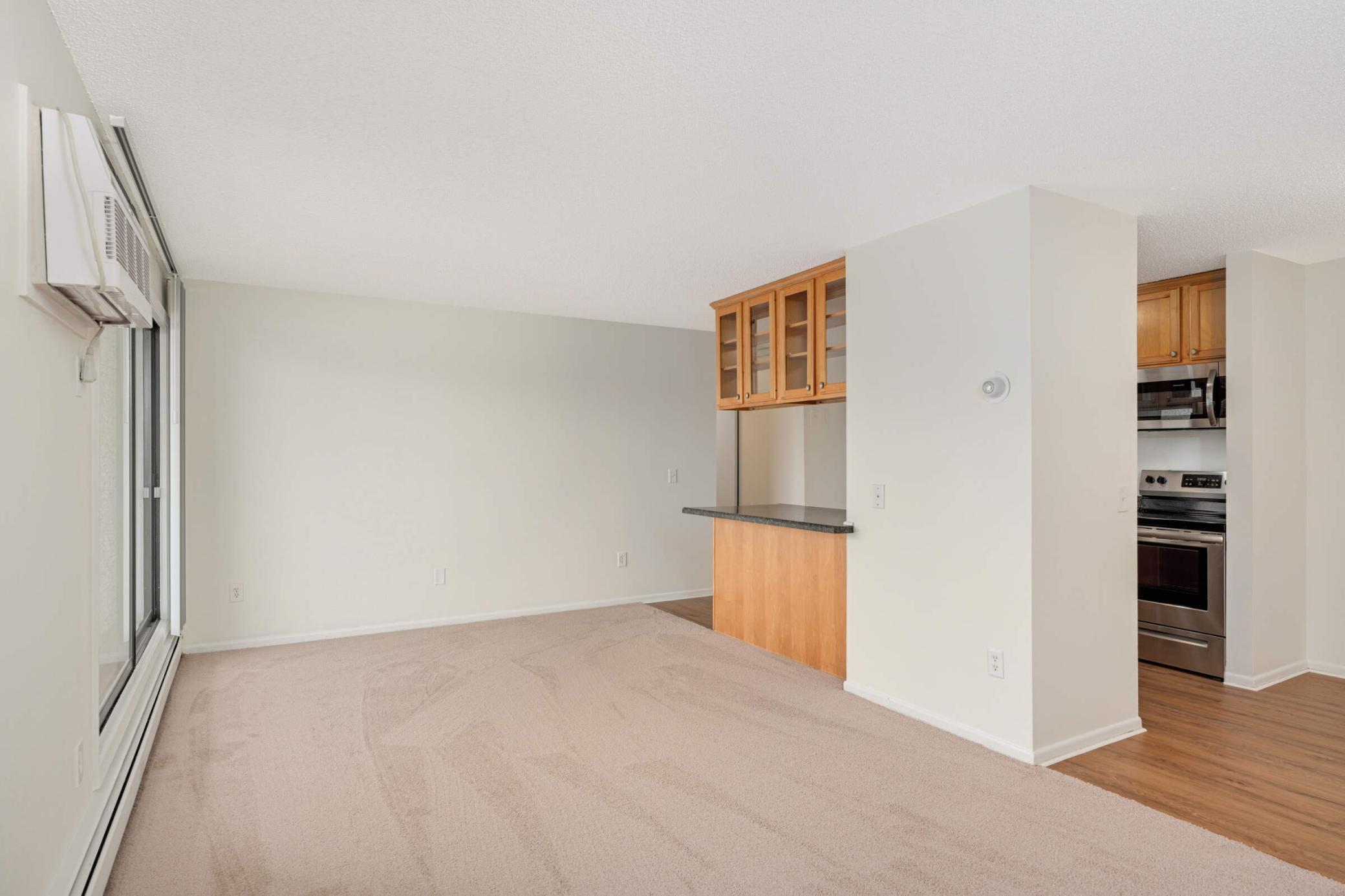 4110 Rahn Road #312, Saint Paul, Minnesota image 8